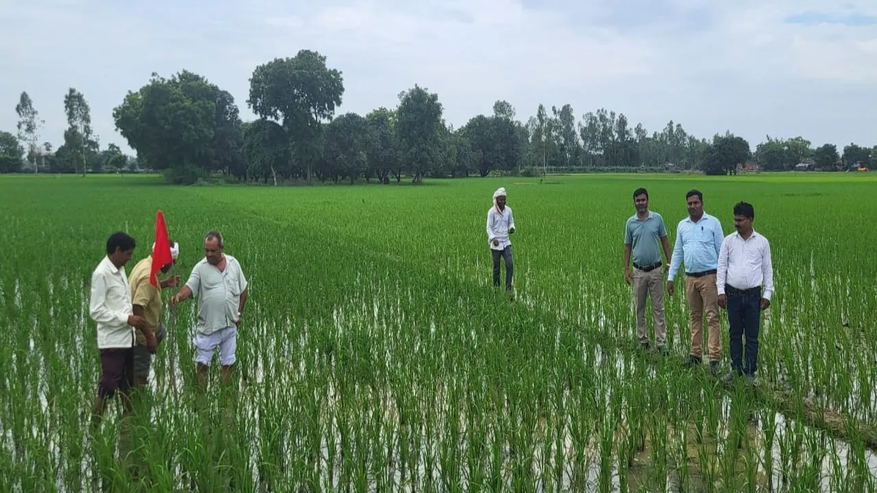 बाराबंकी : 11 साल पुराना 5.23 लाख का लोन नहीं चुकाया, खेत में लगाई लाल झंडी