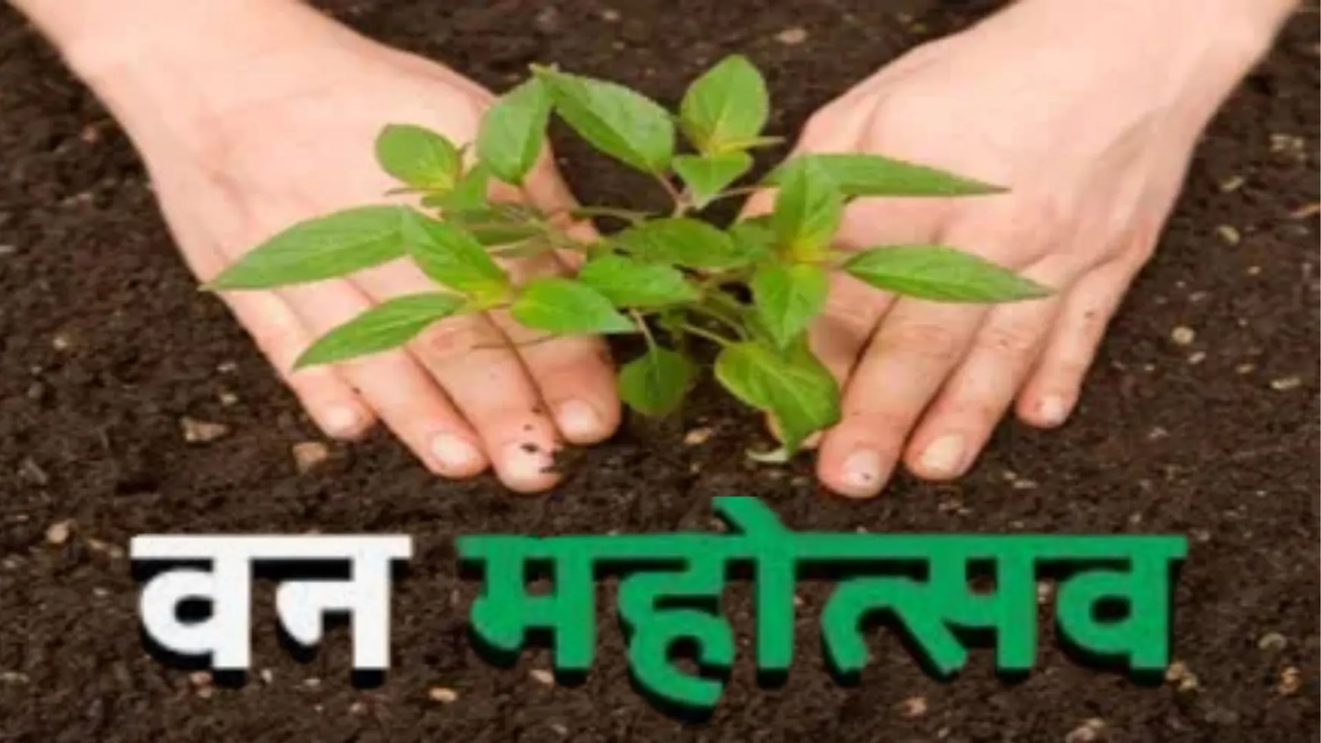 वन महोत्सव 2025 : 3.5 करोड़ पौधरोपण का लक्ष्य, वन विभाग ने विस्तृत योजना की तैयार 