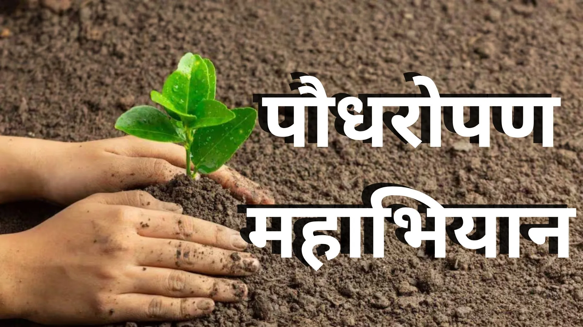 Plantation campaign: अयोध्या-आजमगढ़ में सीएम...बाराबंकी में पौधरोपण करेंगी राज्यपाल, अधिकारी बनाए गए नोडल अफसर