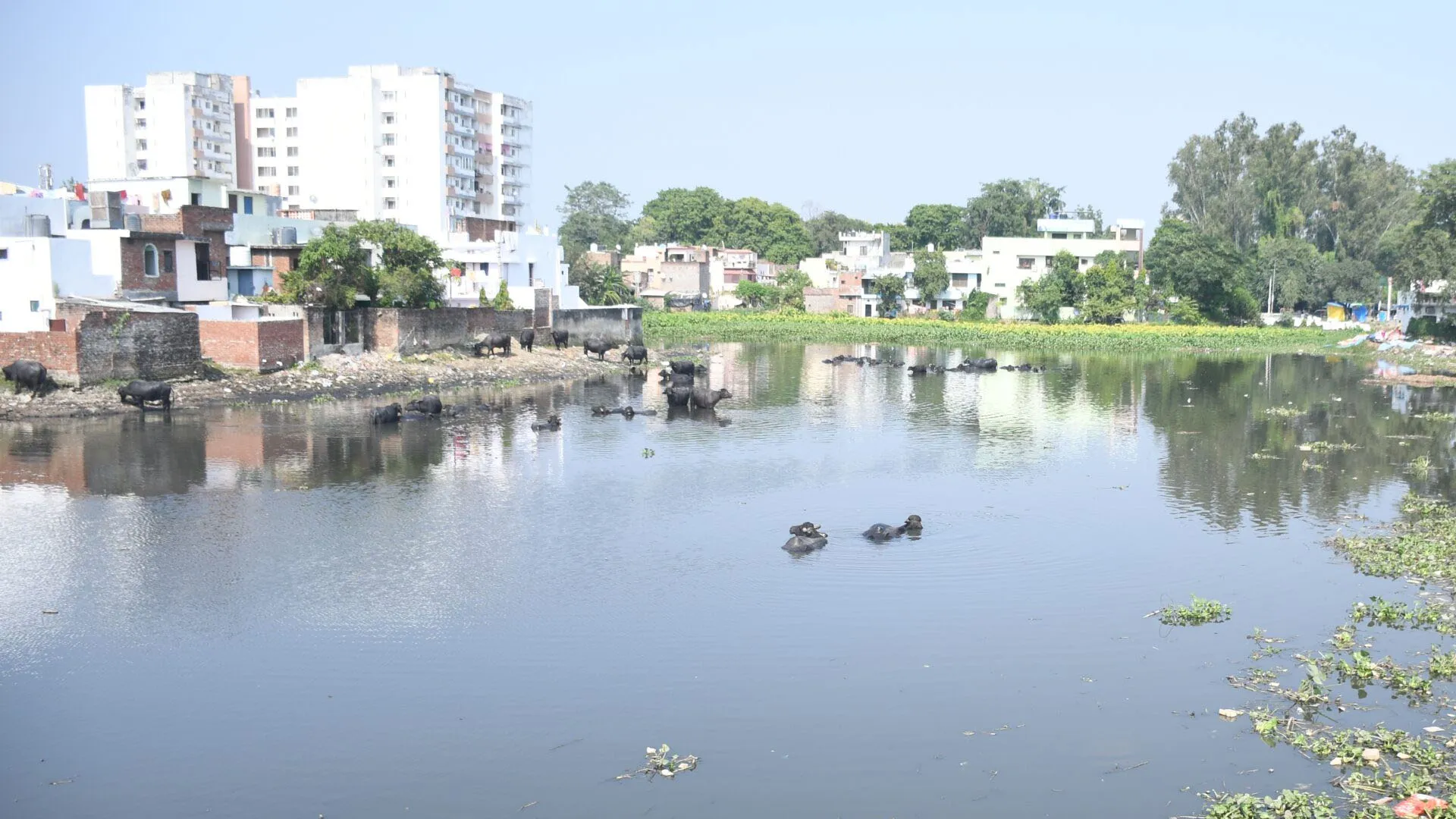 Bareilly: सीएम ग्रिड...स्टॉर्म वाटर ड्रेन से डेलापीर तालाब में संचय होगा वर्षा जल