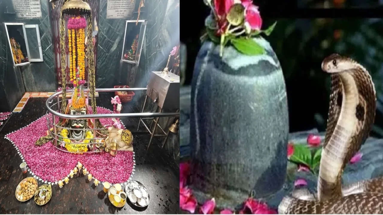 नाग पंचमी 2025 : शिवजी को चढ़ाएं नाग नागिन का जोड़ा, कालसर्प दोष के निवारण के लिए यह है विशेष पूजा