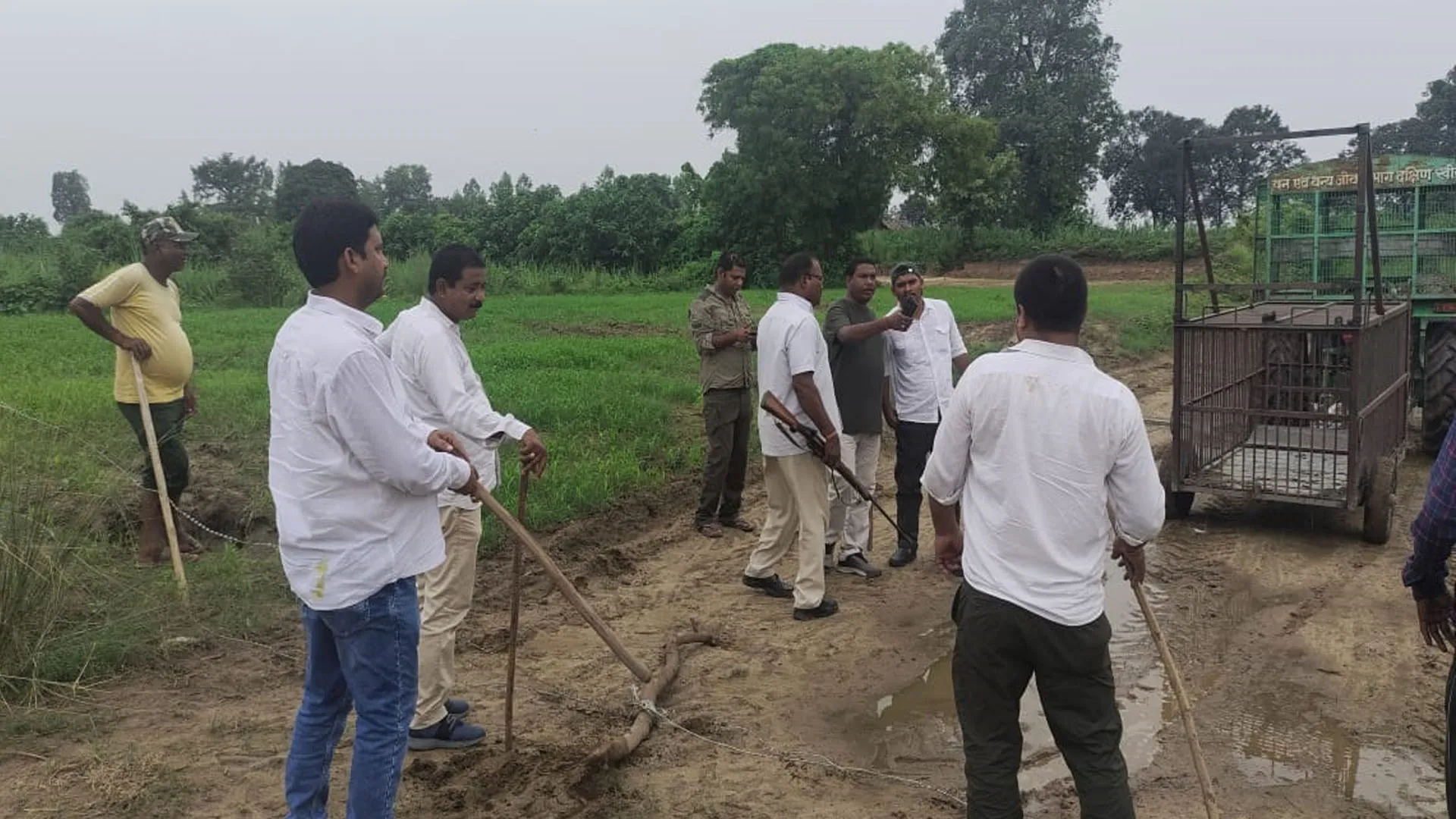 लखीमपुर खीरी: बाघ ने बछिया का किया शिकार, वन विभाग की टीम से ग्रामीणों की नोकझोंक