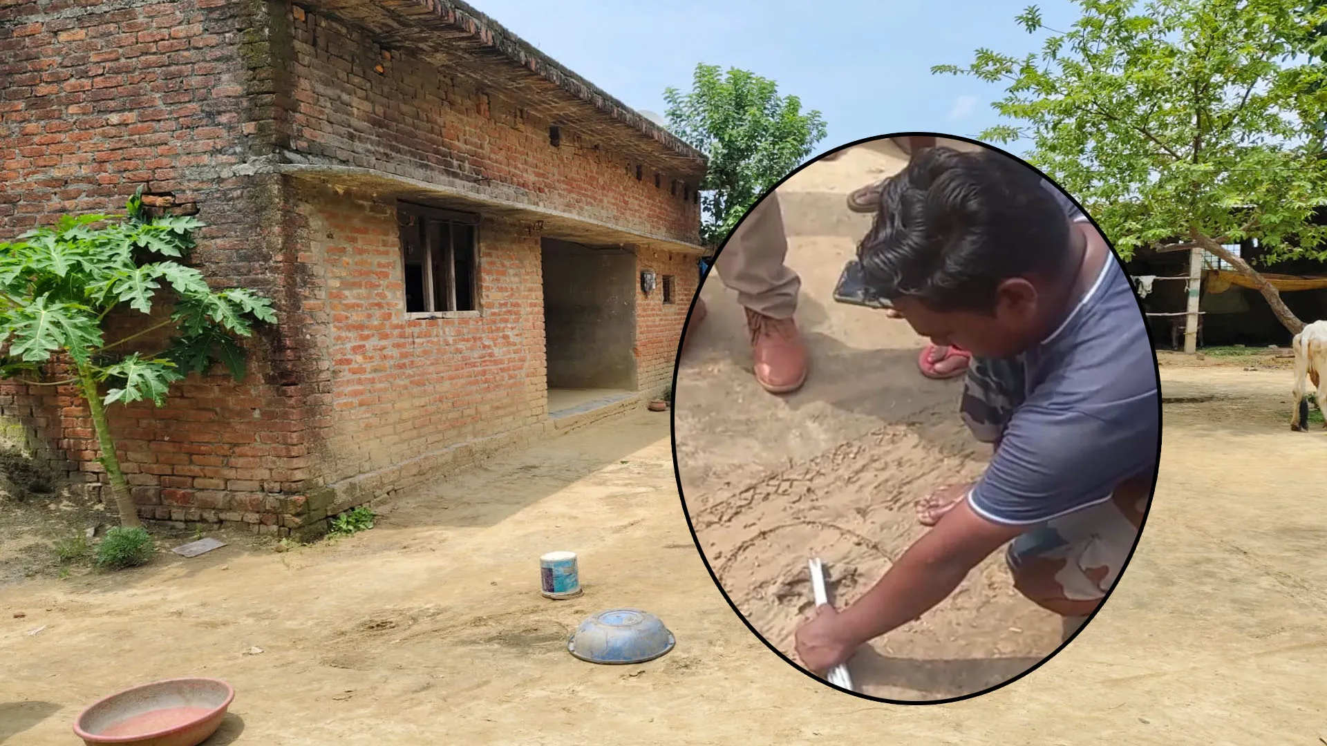 पीलीभीत: आंगन में टहलती रही बाघिन, बरामदे में सोता रहा किसान का परिवार