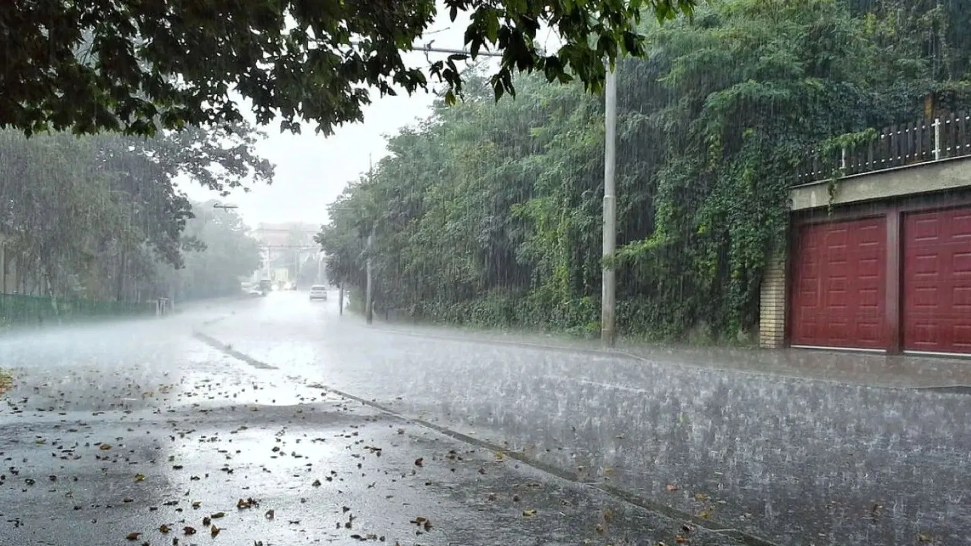 Bareilly: बारिश से लुढ़का पारा...जिले में आज भी येलो अलर्ट