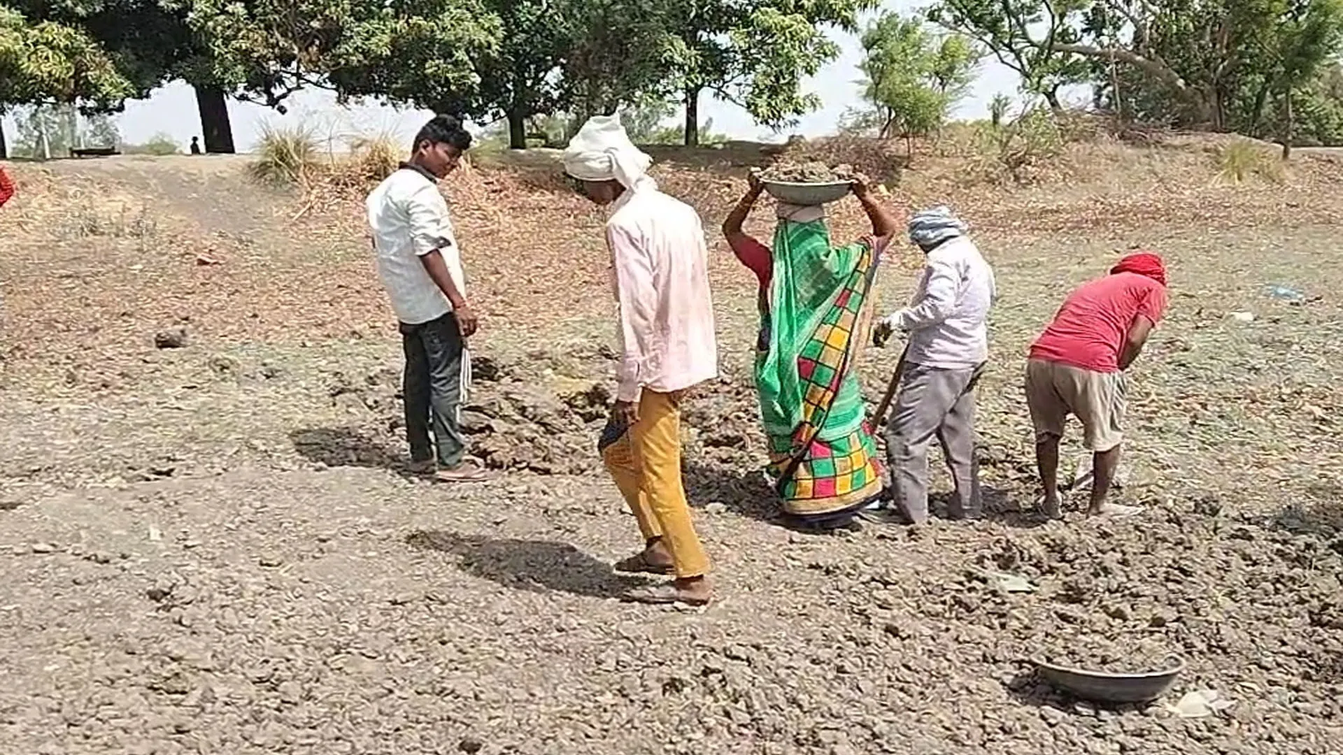 शाहजहांपुर: पड़ताल...मनरेगा से मजदूरों का मोहभंग, अनियमित मजदूरी बनी कारण