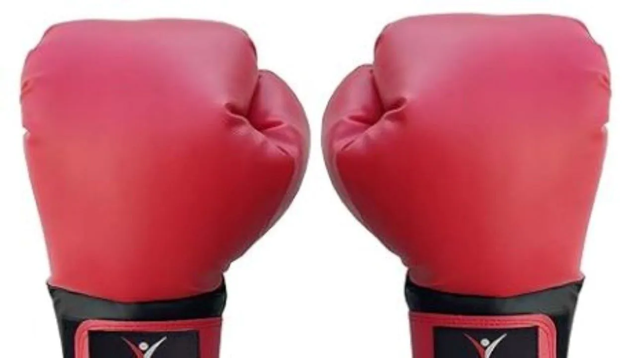  साक्षी ने विश्व मुक्केबाजी कप में स्वर्ण पदक जीता 