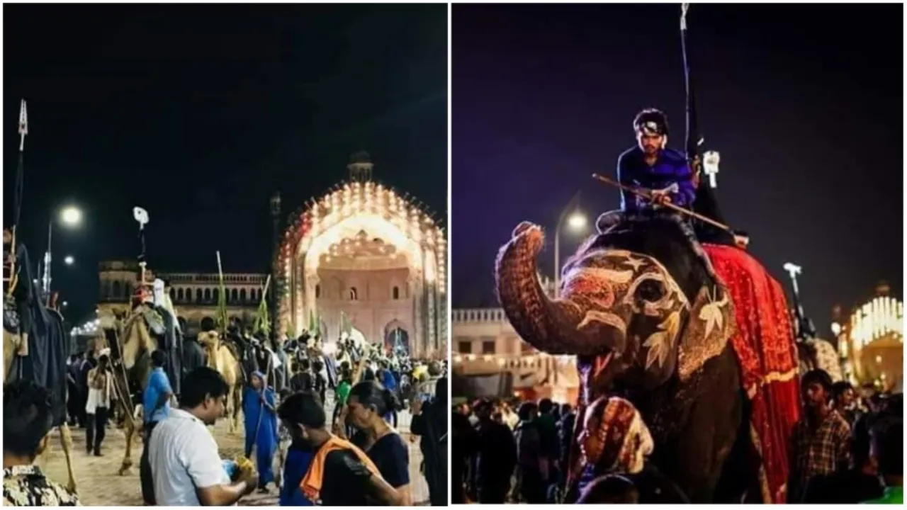 मुहर्रम 2025 : शान-ओ-शौकत से निकली हजरत कासिम की मेंहदी