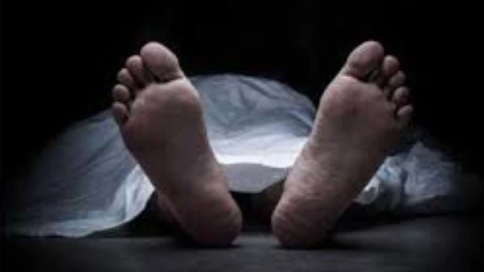 लखीमपुर खीरी: आवारा पशु बचाने के कोशिश में बाइक पेड़ से टकराने से युवक की मौत