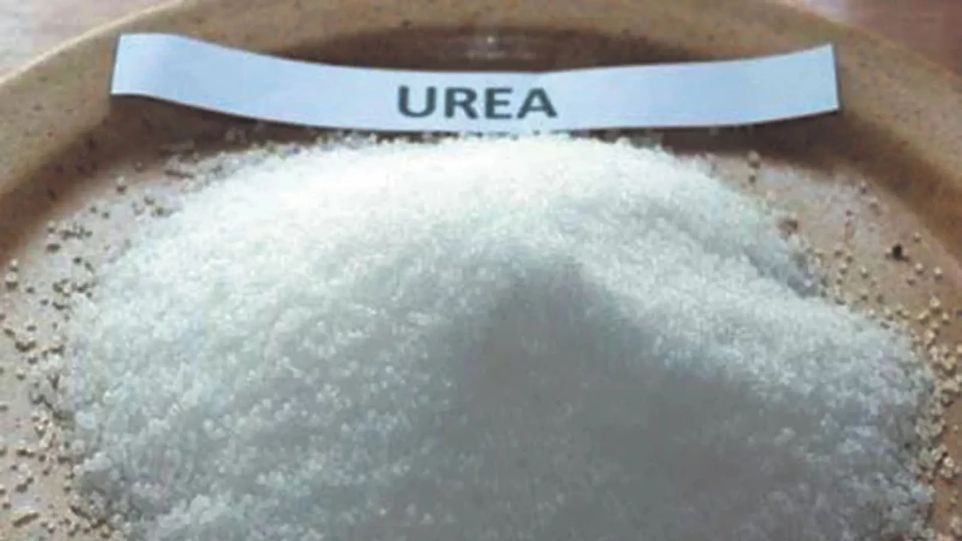 लखनऊ जिले में खाद की किल्लत : सचिव ने 14 रुपये अधिक पर बेची यूरिया, नोटिस