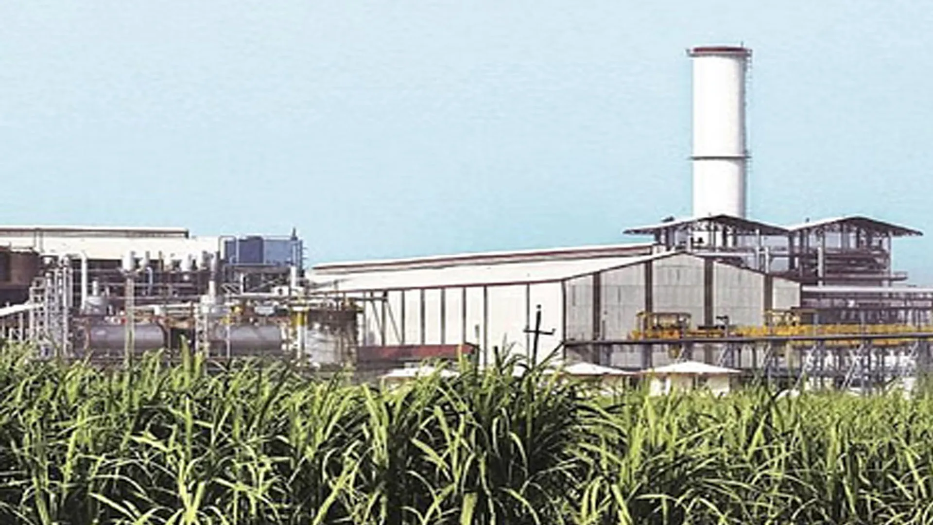 Bareilly: 29.40 लाख रुपये लेकर नामी कंपनी ने नहीं दी चीनी, डीजीपी के आदेश पर FIR