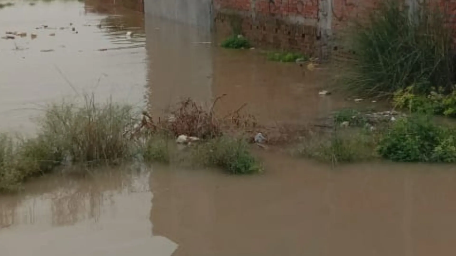 प्रयागराज में बाढ़ से लाखों लोग घिरे: खतरे के निशान से 1 मीटर दूर बह रही गंगा-यमुना, मदद में लगा प्रशासन 