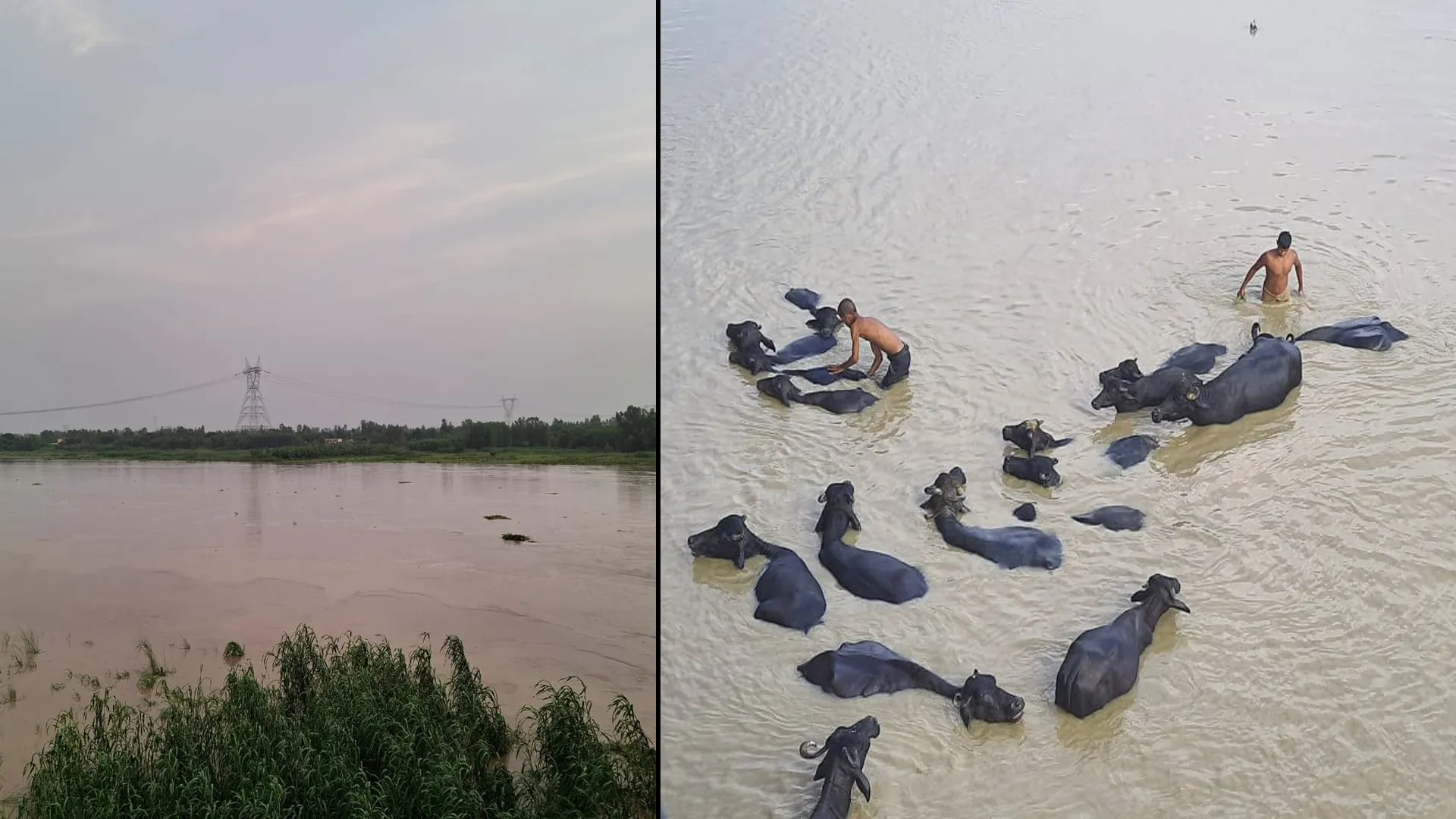 रामपुर : कोसी नदी का घटा जलस्तर, रामगंगा में उफान