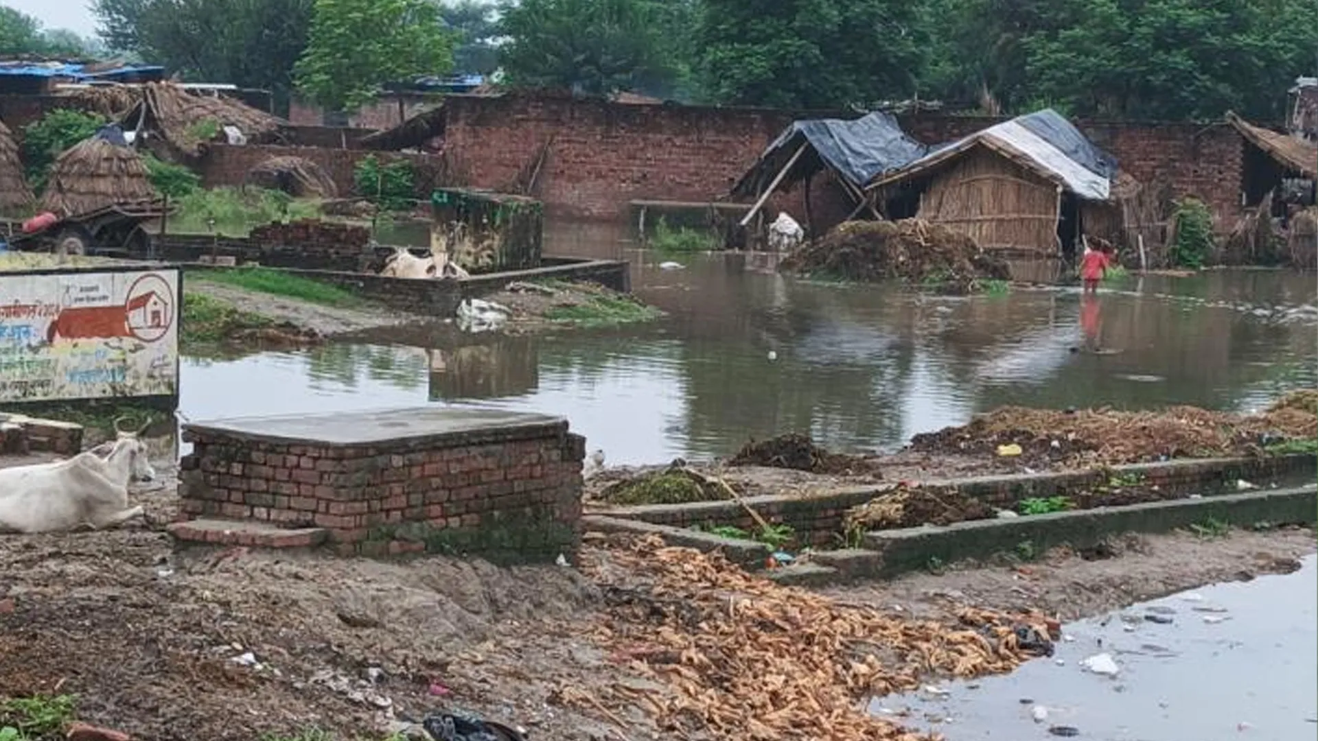 संभल : गुन्नौर के दर्जनों गांव बाढ़ की चपेट में, गंगा खतरे के निशान से ऊपर