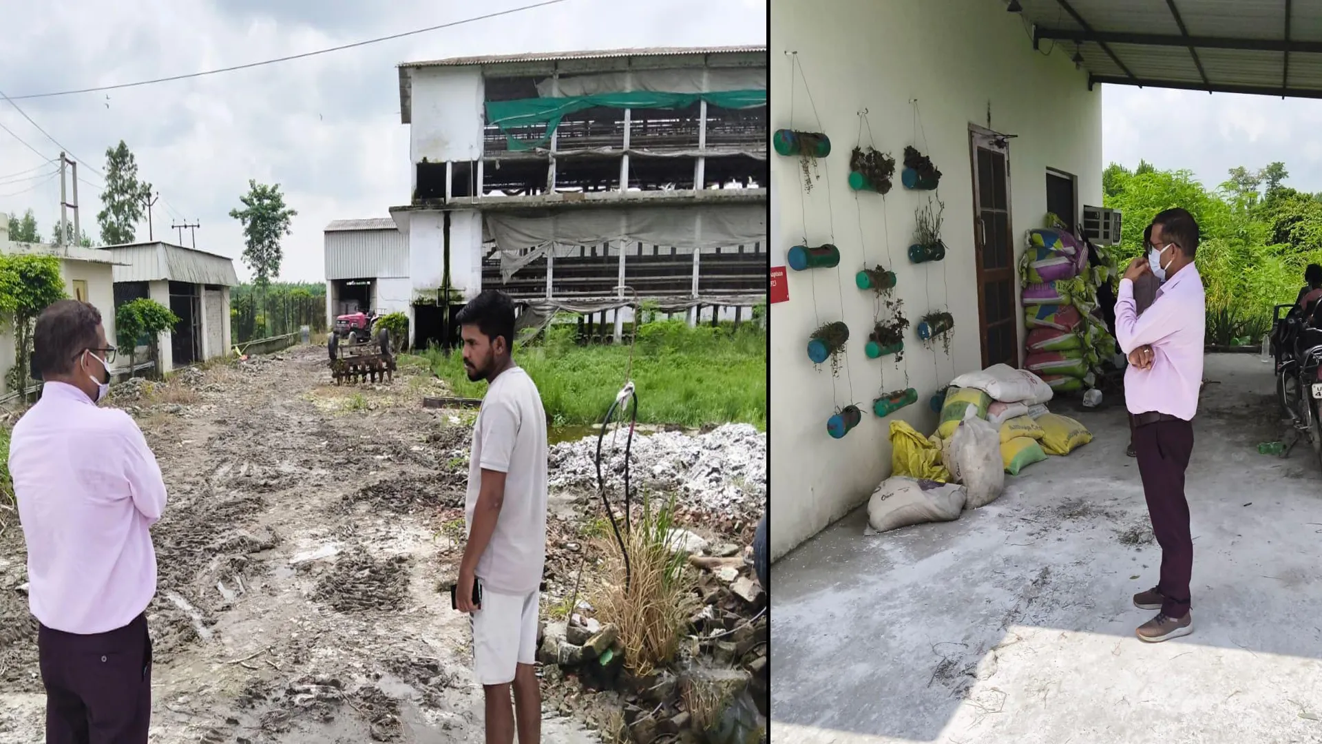 रामपुर में मुर्गियों में बर्ड फ्लू से हड़कंप, एक ही पोल्ट्री फार्म की 15 हजार मुर्गियों की मौत