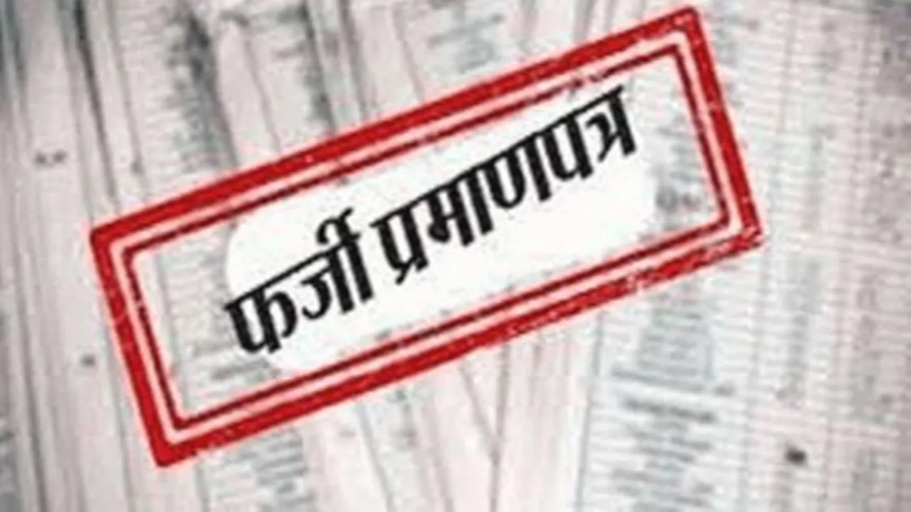 WFI की बड़ी कार्रवाई: 11 पहलवानों को किया निलंबित, फर्जी जन्म प्रमाण लगाने का आरोप