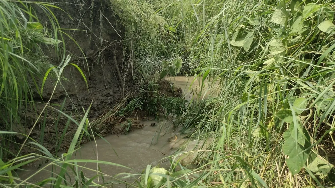 सुलतानपुर: सिद्दीगनेशपुर में नहर कटने से फसलें डूबीं, घरों में घुसा पानी