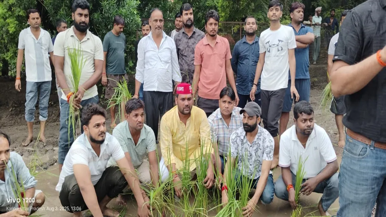 कानपुर: सड़क पर बने गड्ढों में सपाइयों ने रोपी धान की पौध, सरकार पर लगाया अनदेखी का आरोप