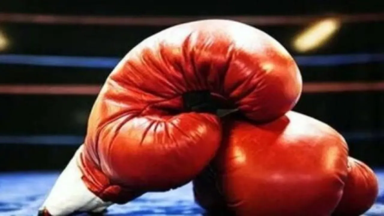 Boxing Championship: राष्ट्रीय सब जूनियर मुक्केबाजी चैंपियनशिप ग्रेटर नोएडा में सात अगस्त से...  