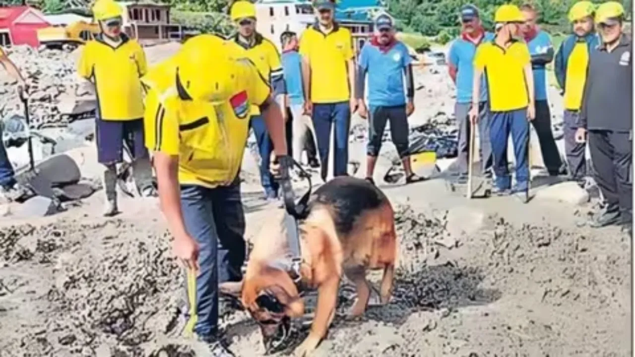 उत्तराखंड में आई आपदा में मददगार बने दो जर्मन शेफर्ड,  भीषण बाढ़ में लापता लोगों की कर रहे खोज