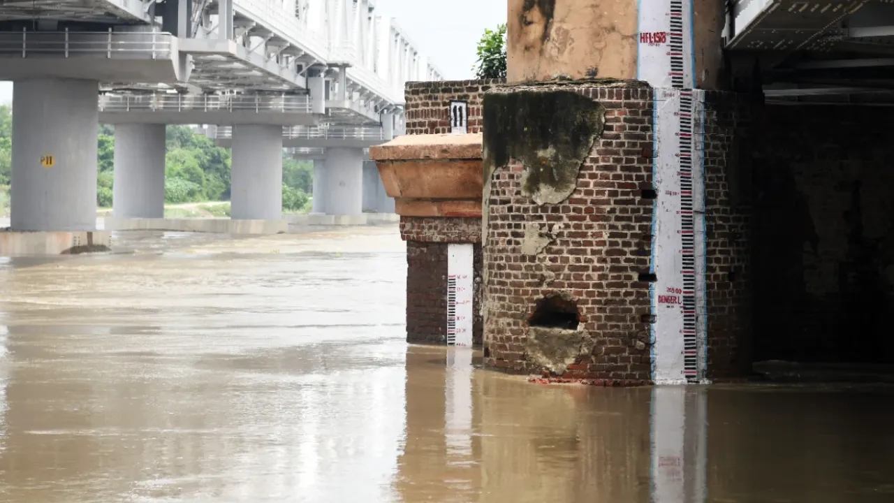 लगातार बढ़ा जलस्तर... गौतमबुद्ध नगर में यमुना का जलस्तर बढ़ने के मद्देनजर पांच बाढ़ चौकियां की गईं स्थापित 