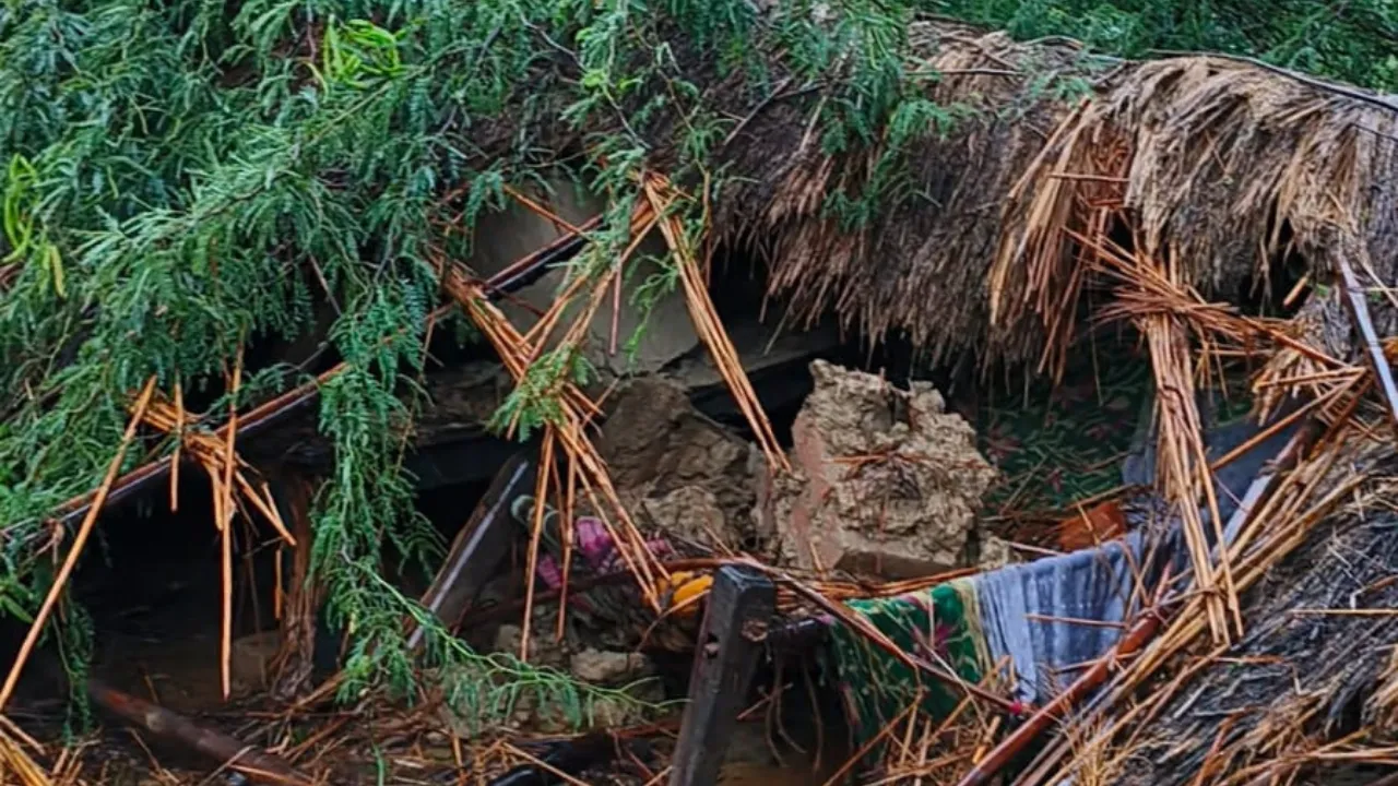 अमेठी में छप्पर पर पेड़ गिरने से हादसा: बेटी की मौत, पिता घायल