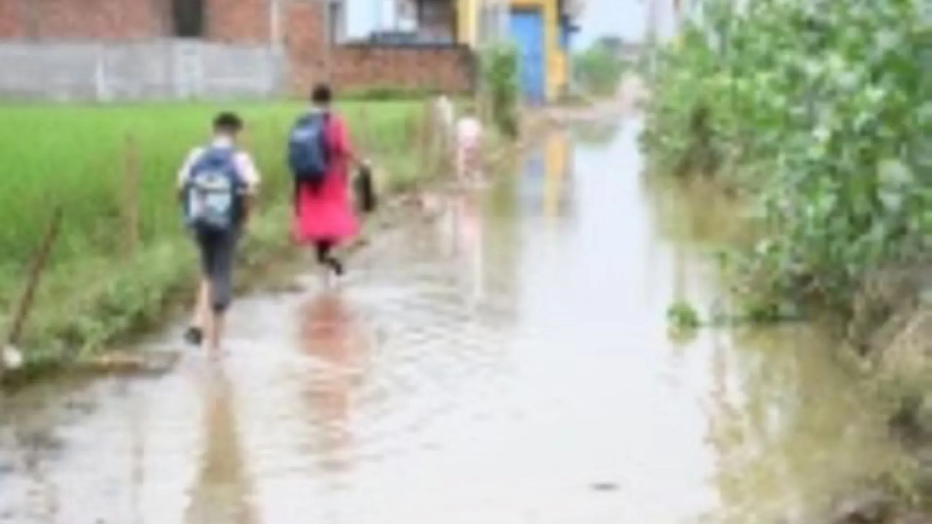 फैजुल्लागंज में जलभराव से मामा कॉलोनी में फैल रहा संक्रामक रोग, उल्टी दस्त के दो और बुखार के 14 नए मरीज मिले