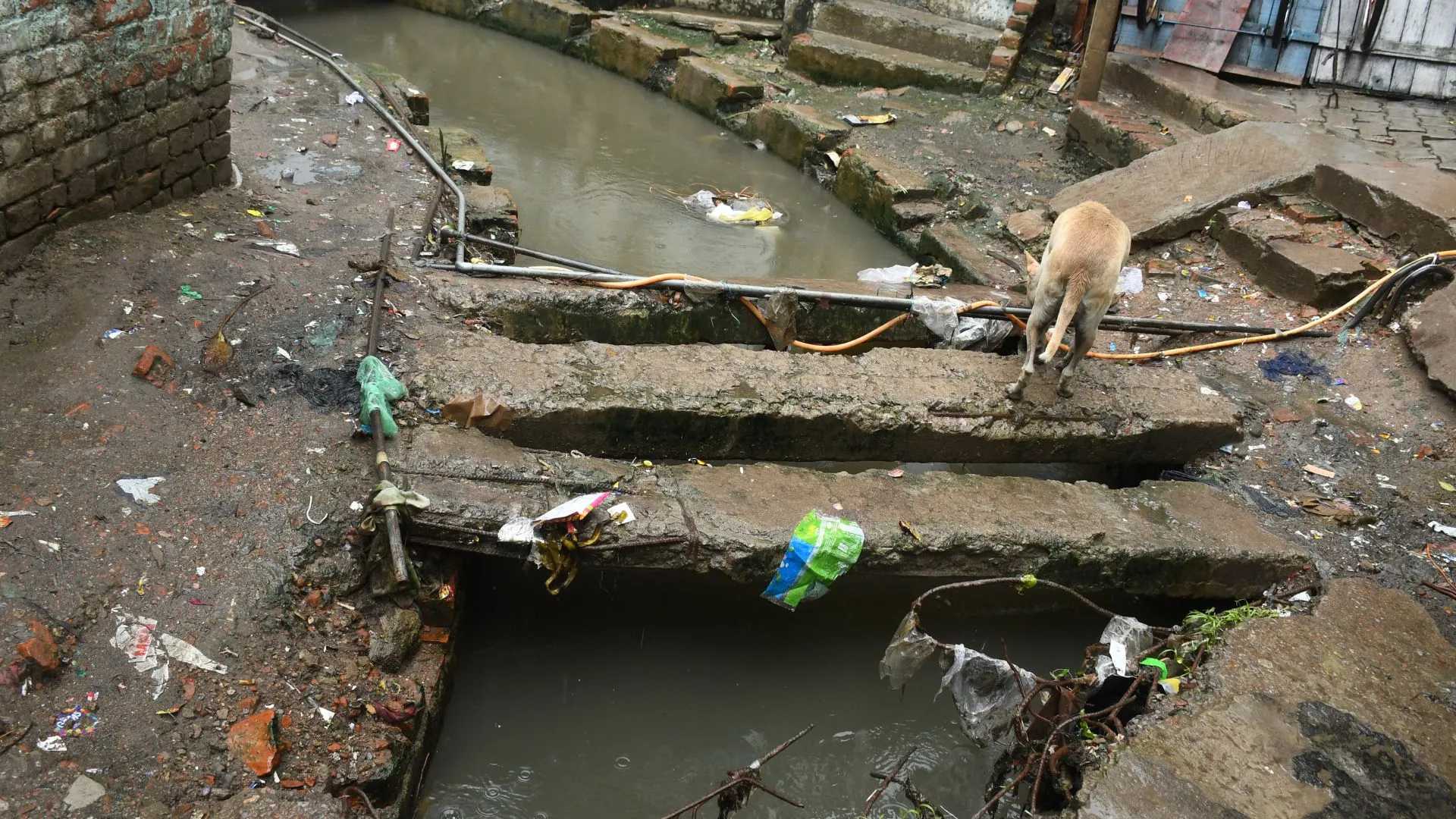 खुले नाले बन रहे हादसों का कारण: गिरकर चोटिल हो रहे लोग, व्यक्ति की मौत के बाद भी नहीं जागा नगर निगम