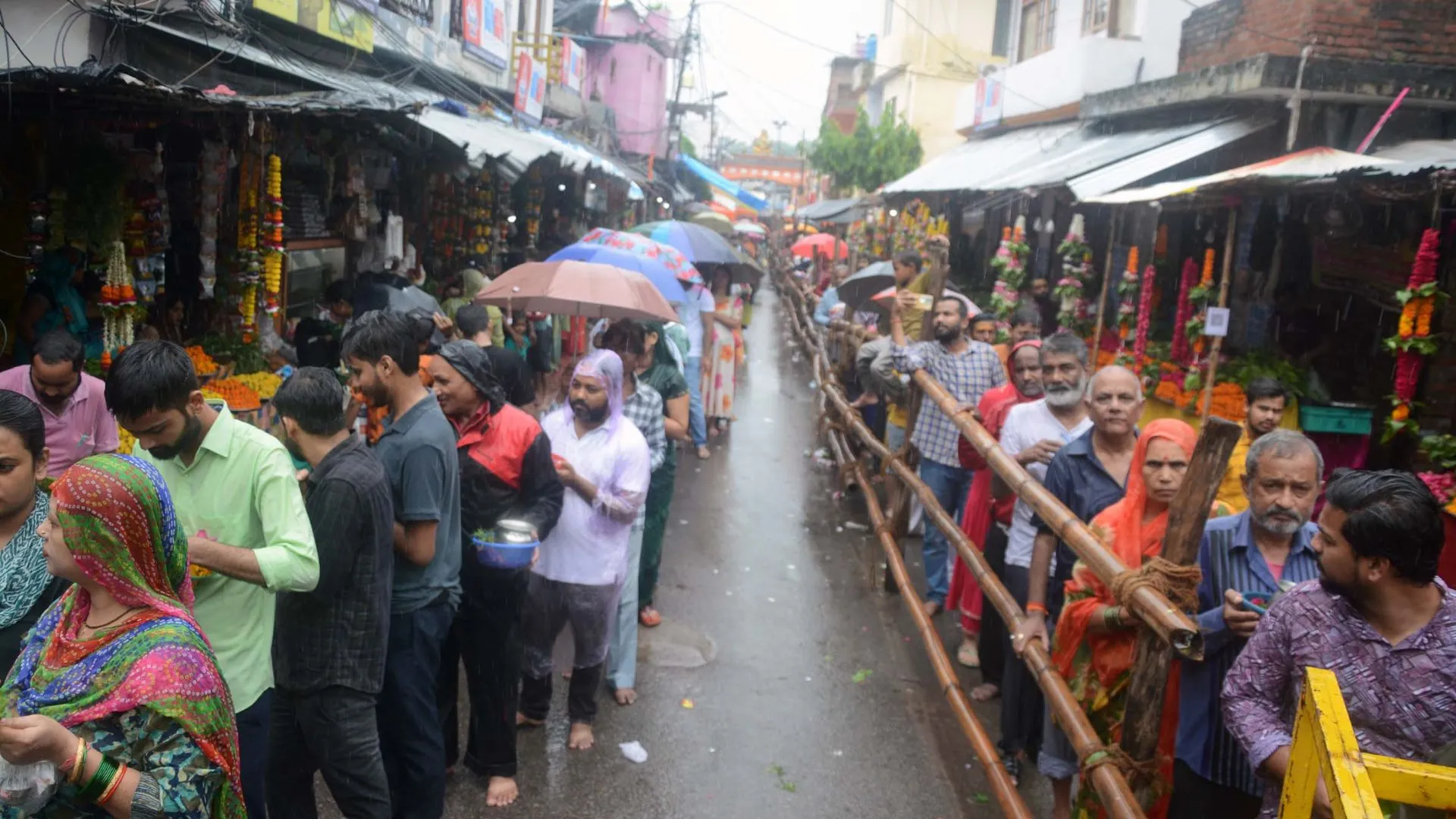 Untitled design (10)