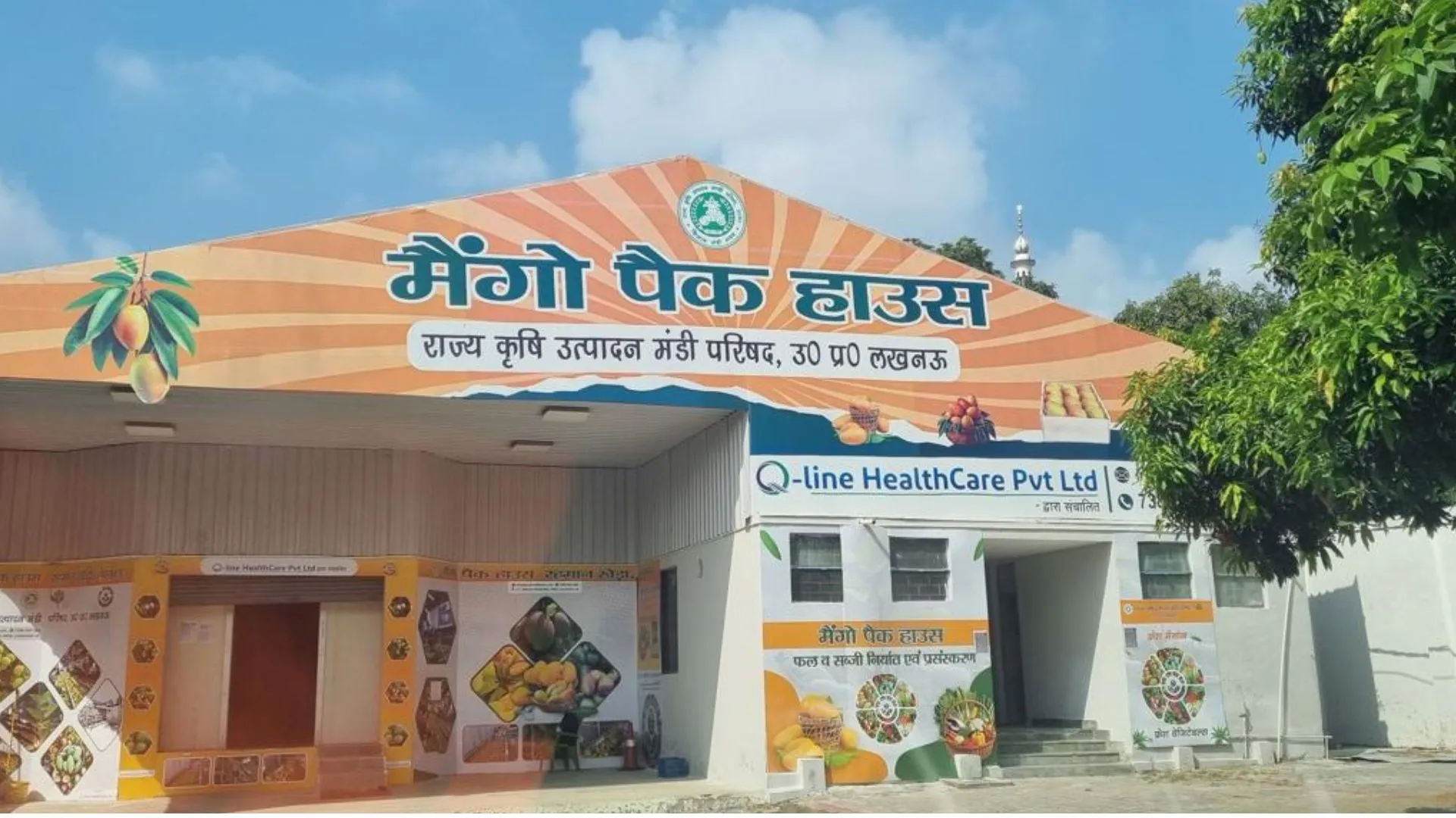 आम के निर्यात में कमी के चलते पैक हाउस का घाटा, सब्जियों के एक्सपोर्ट की योजना 