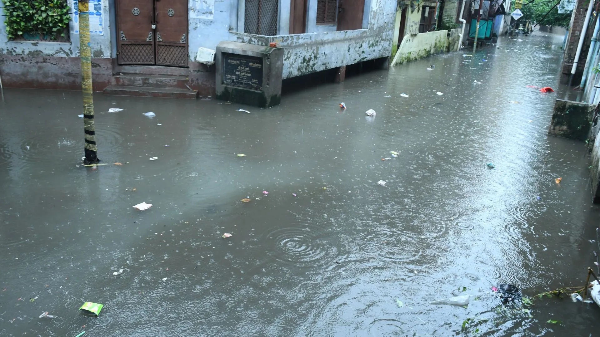 Untitled design (12)