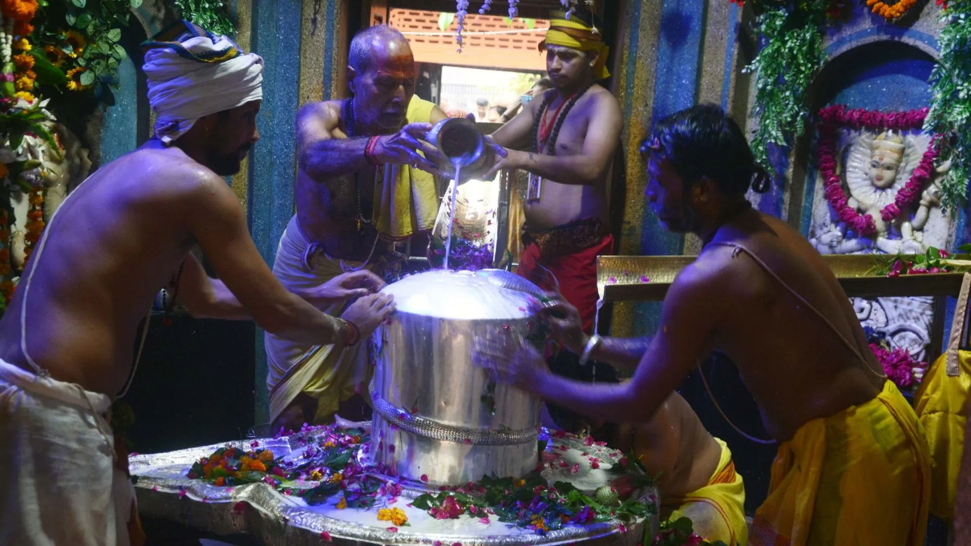 Untitled design (12)