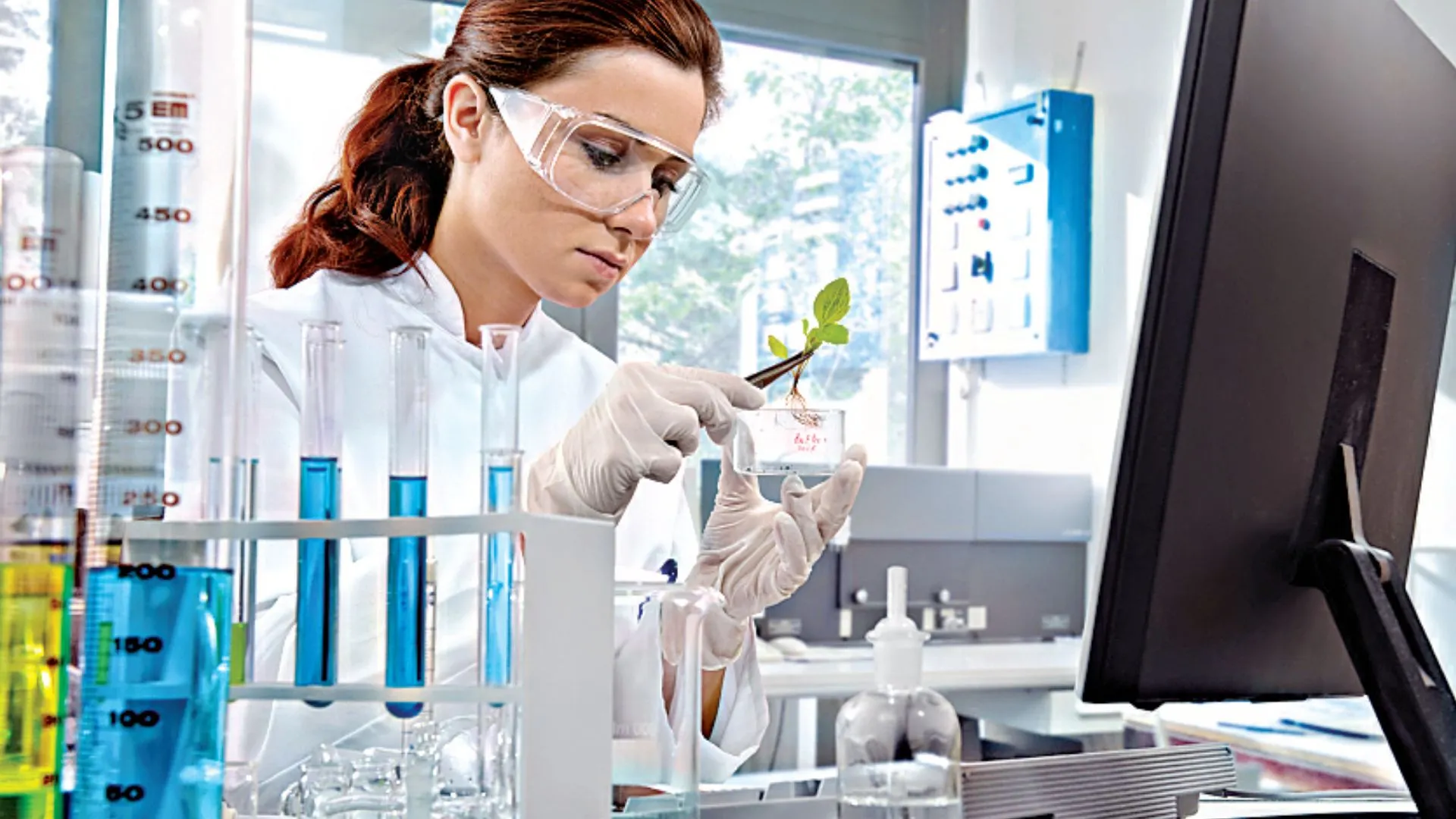 कृषि और दवाओं पर वनस्पति विज्ञान विभाग करेगा शोध, सरकार की ओर से मिला 1 करोड़ 80 लाख का प्रोजेक्ट