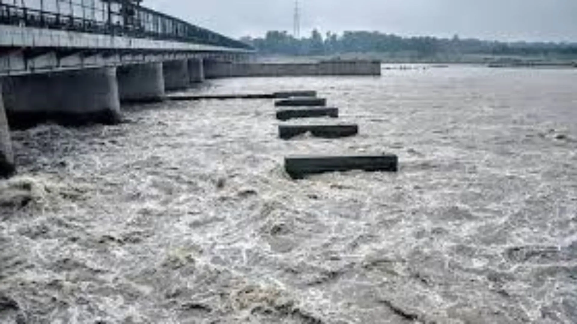 दिल्ली पर मड़राया बाढ़ का खतरा: वार्निंग लाइन के करीब यमुना, अलर्ट जारी 
