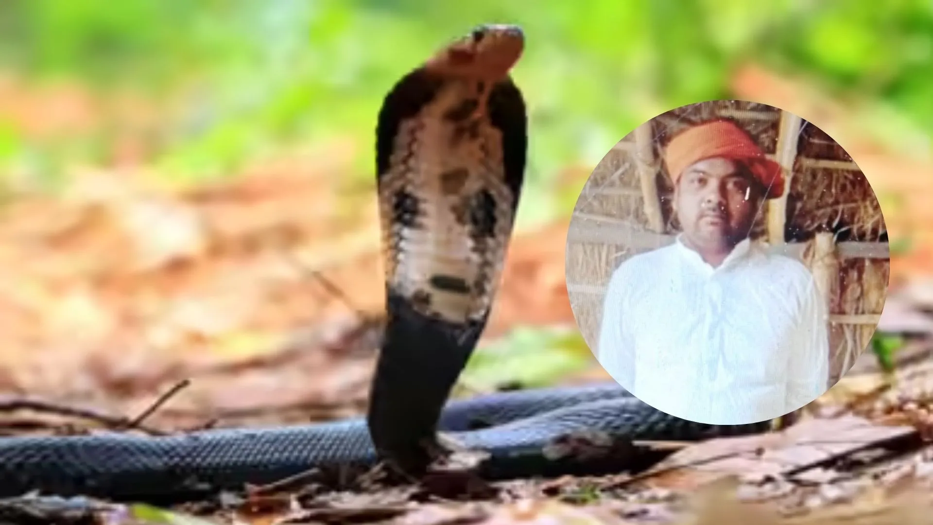 किसान की मौत पर यूपी सरकार देगी 4 लाख की सहायता: जहरीले साप के काटने से हुई थी मृत्यु, परिवार में मचा   कोहराम 