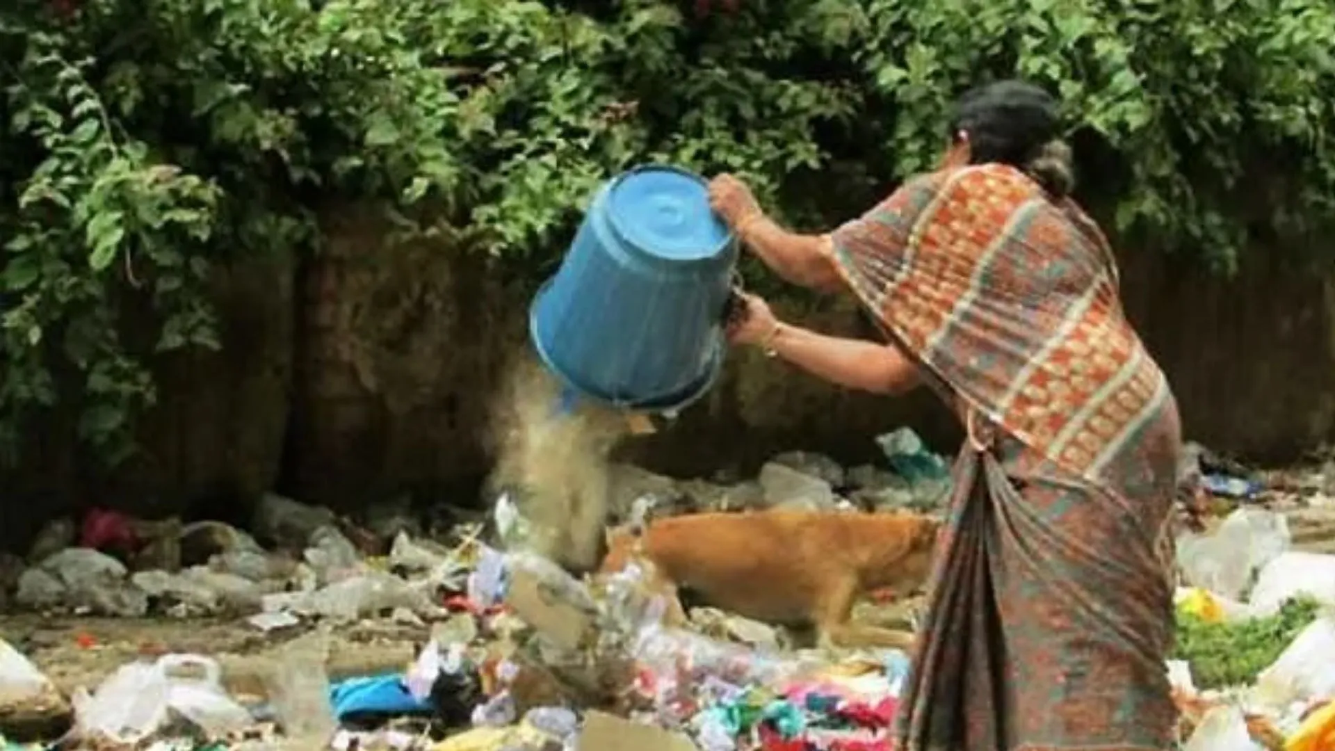 खुले में कूड़ा फेंकने पर 31 दिन में किए 550 चालान, 57 किग्रा प्रतिबंधित प्लास्टिक जब्त कर वसूला 