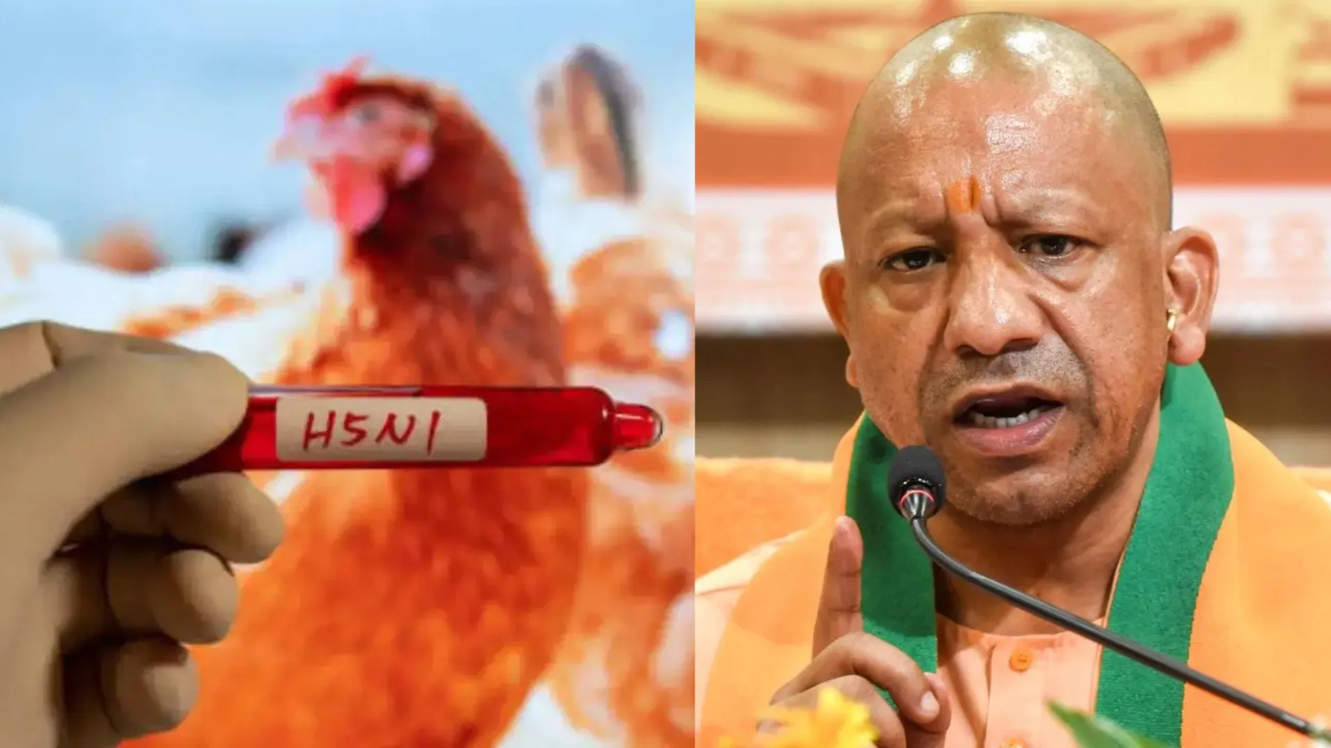 लापरवाही स्वीकार्य नहीं..यूपी में बर्ड फ्लू के खतरे को देखते हुए सीएम योगी ने दिए कार्यवाई के निर्देश, सभी प्राणी उद्यानों में अपनाये मजबूत सुरक्षा उपाय 