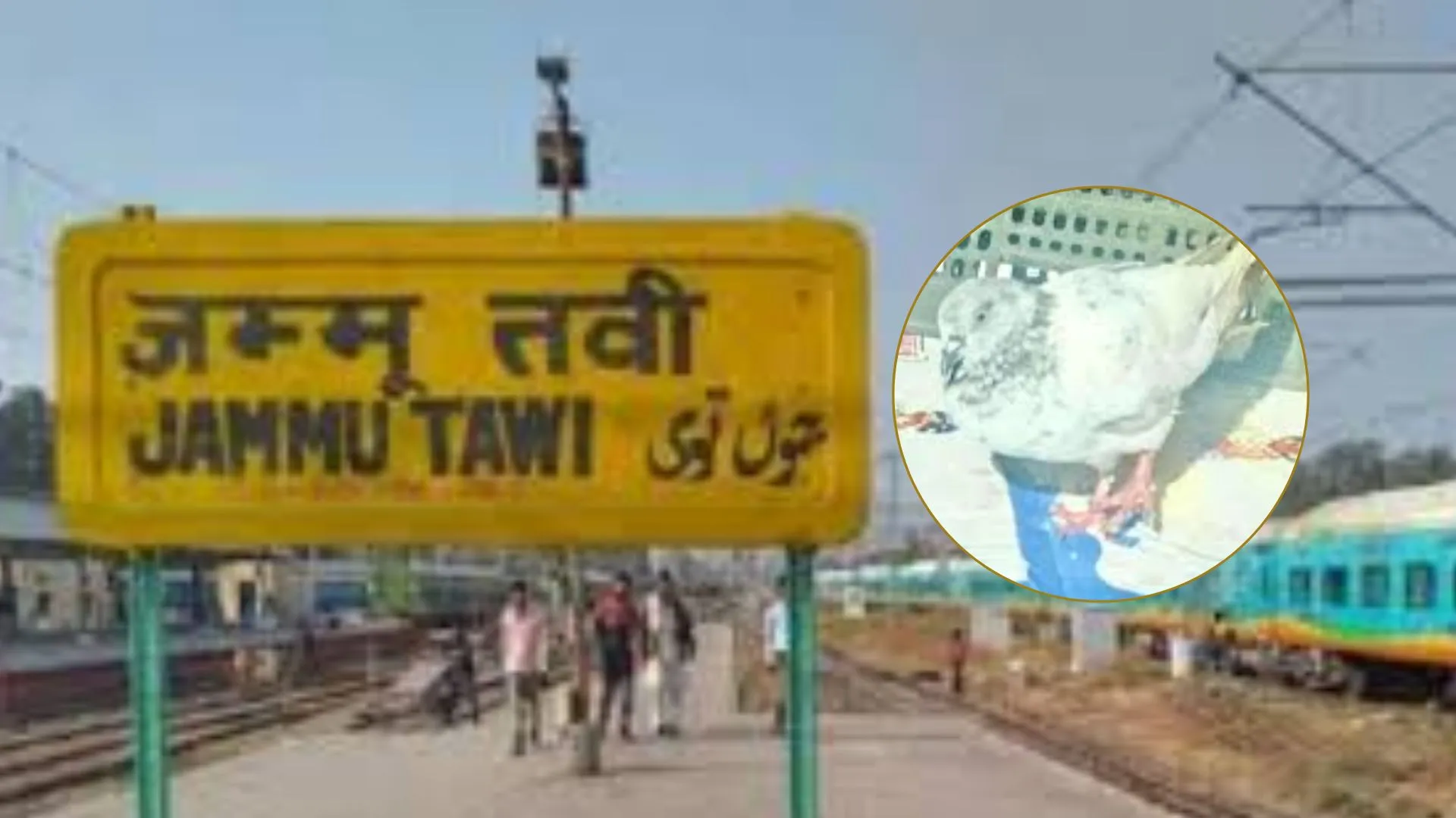 Time has Come...जम्मू रेलवे स्टेशन को मिली बम से उड़ाने की धमकी, ‘कश्मीर फ्रीडम' लिखी पर्ची सीमा पर पकड़ा गया कबूतर  