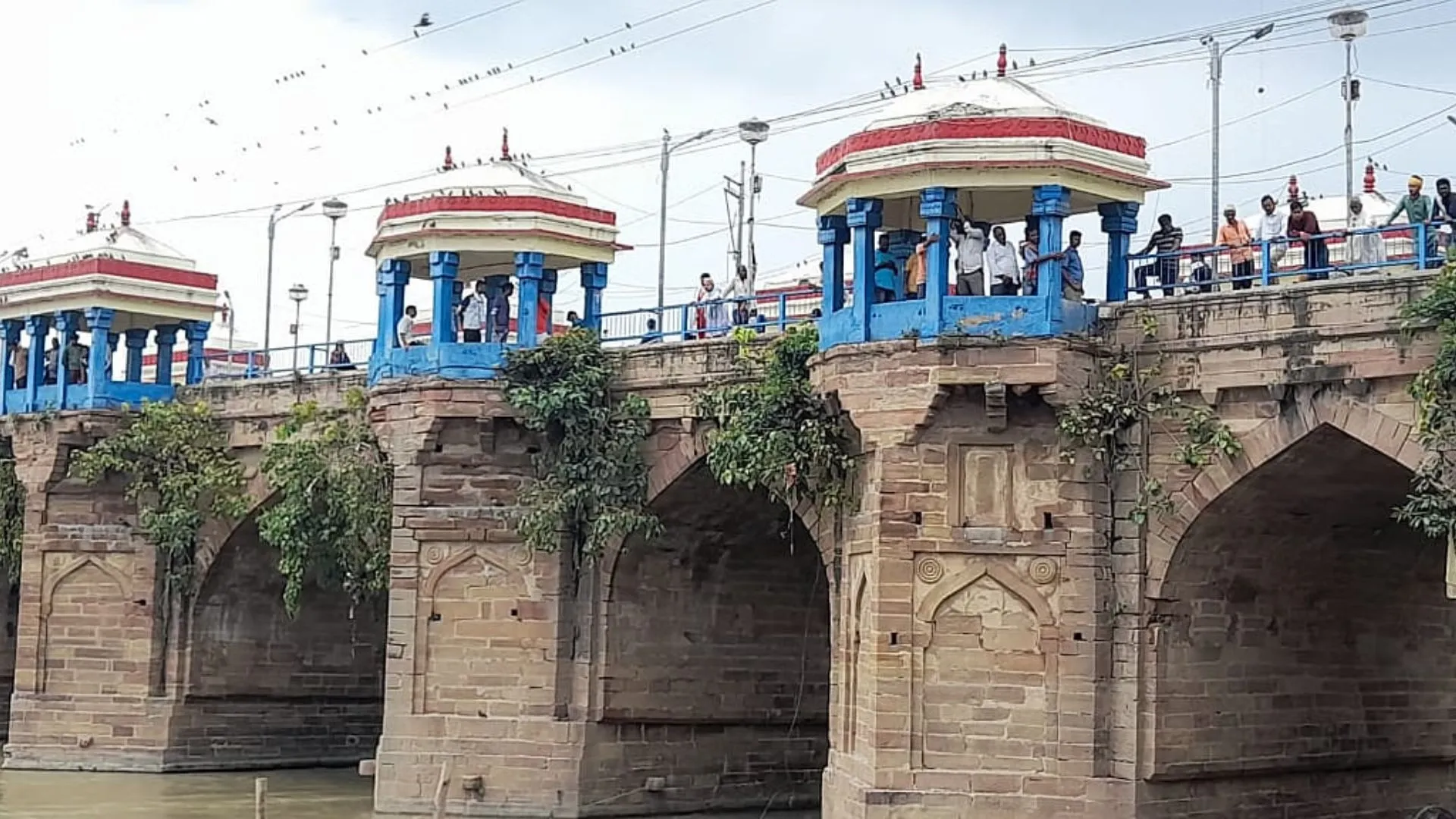 Untitled design (31)