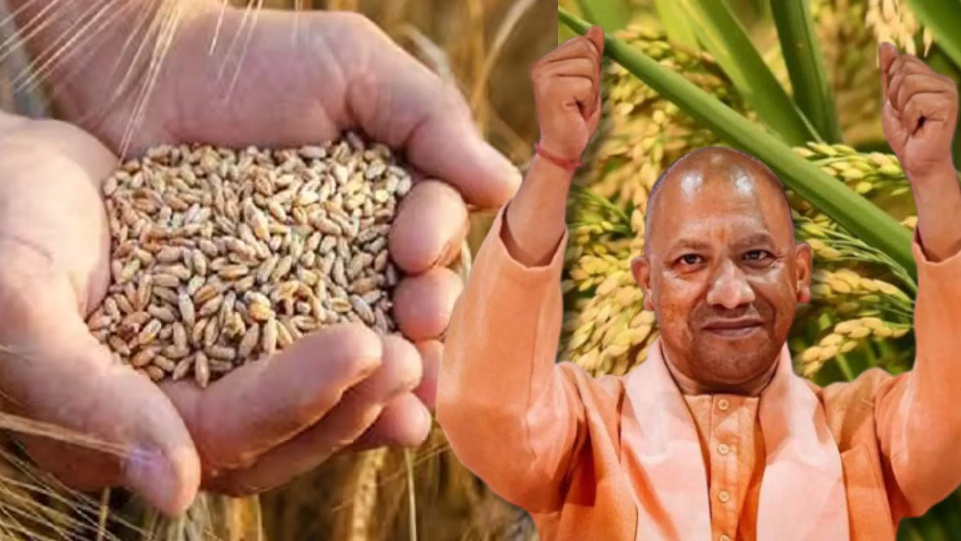 किसानों को तोहफा: उन्नत बीजों की मांग पूरी करेगी सरकार, गेहूं की बोवाई के लिए क्षेत्रफल बढ़ाएगा कृषि विभाग 