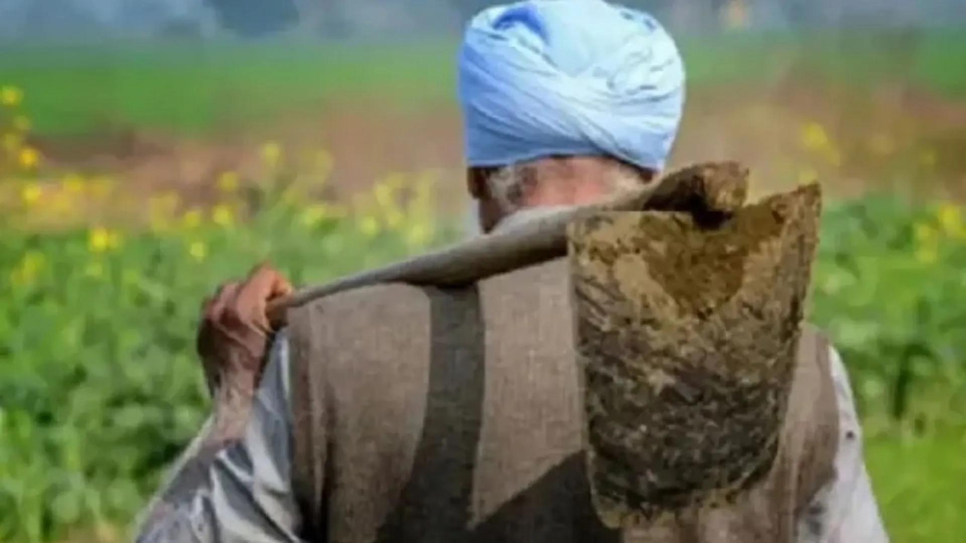 प्रदेश में किसानों को असुविधा नहीं होने देगी योगी सरकार, कृषि मंत्री ने बैठक में दिए निर्देश; आवश्यकतानुसार मिलेगा उर्वरक