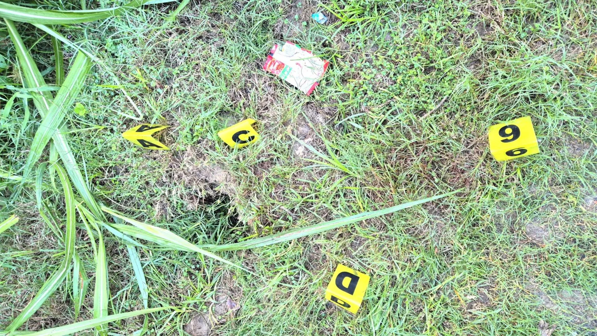 Untitled design (50)