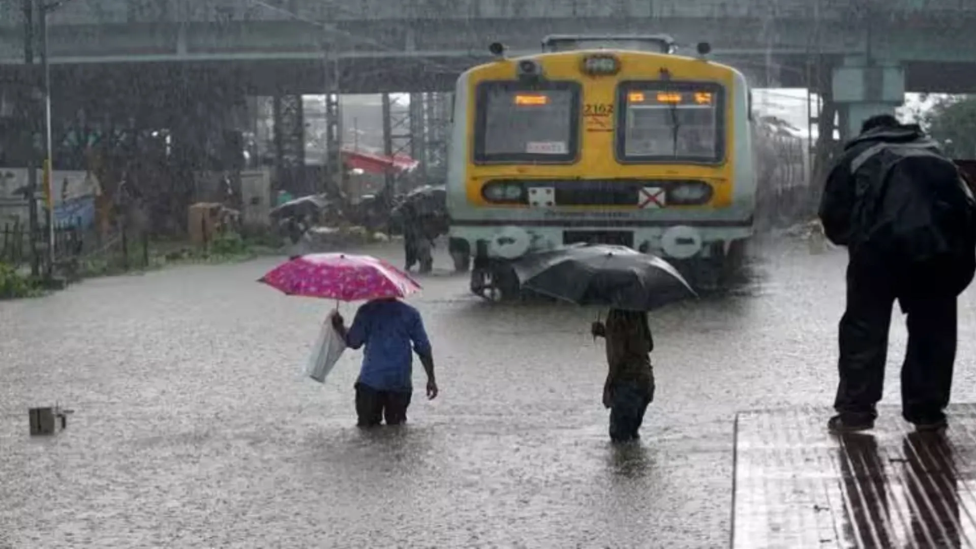 कही टूटे पेड़ तो कही भूस्खलन! आफत की बारिश से जगह जगह जलभराव, मुंबई लोकल भी हुई प्रभावित 