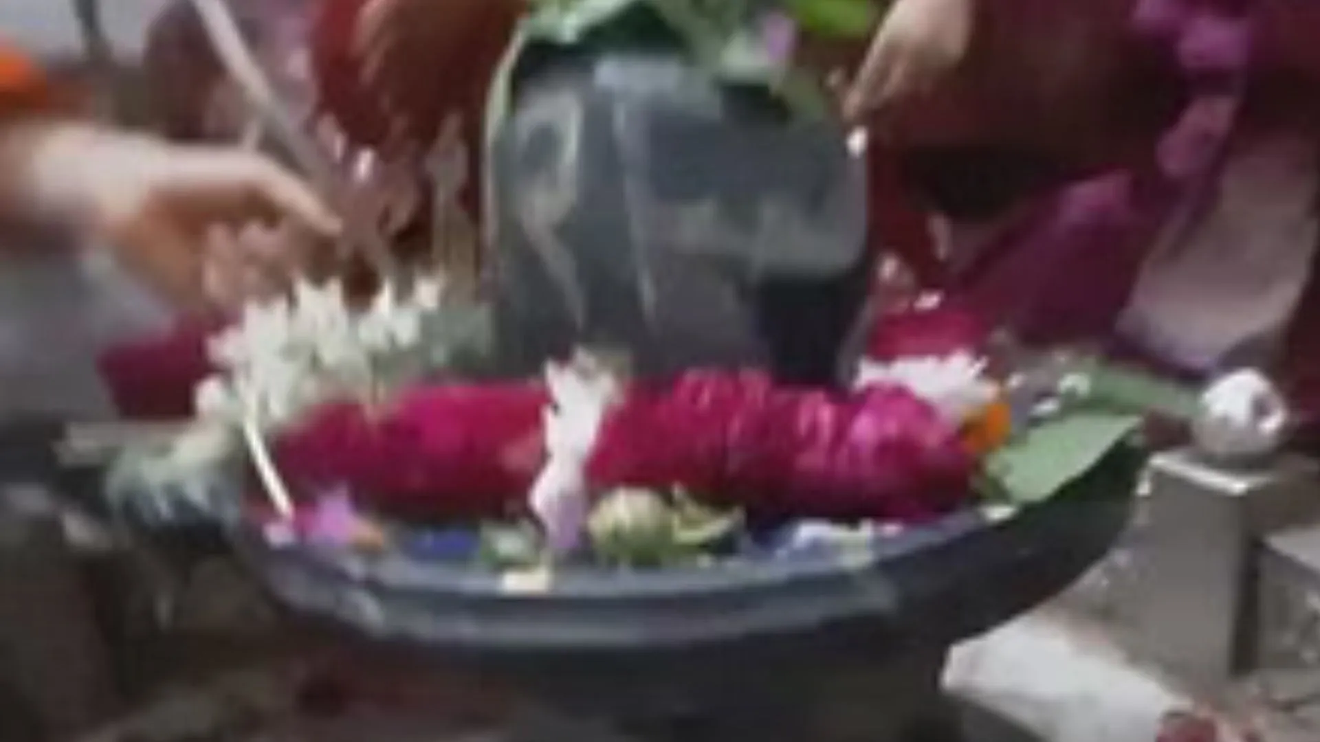 श्री कोतवालेश्वर महादेव मंदिर में महिलाओं ने महादेव को बांधी राखी, सुरक्षा और समृद्धि का लिया आशीर्वाद