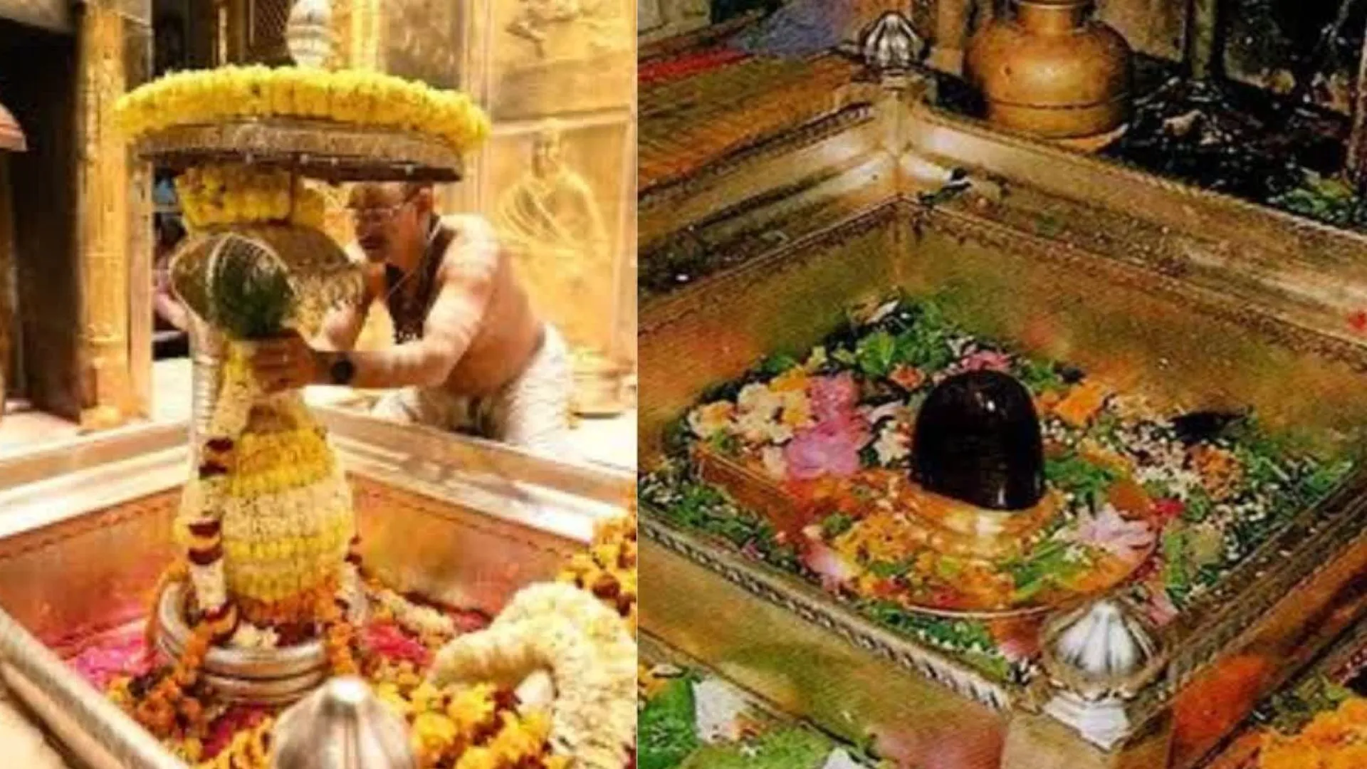 इसरो वैज्ञानिकों ने किये श्री काशी विश्वनाथ के दर्शन, रुद्राभिषेक अनुष्ठान कर लिया बाबा का आशीर्वाद