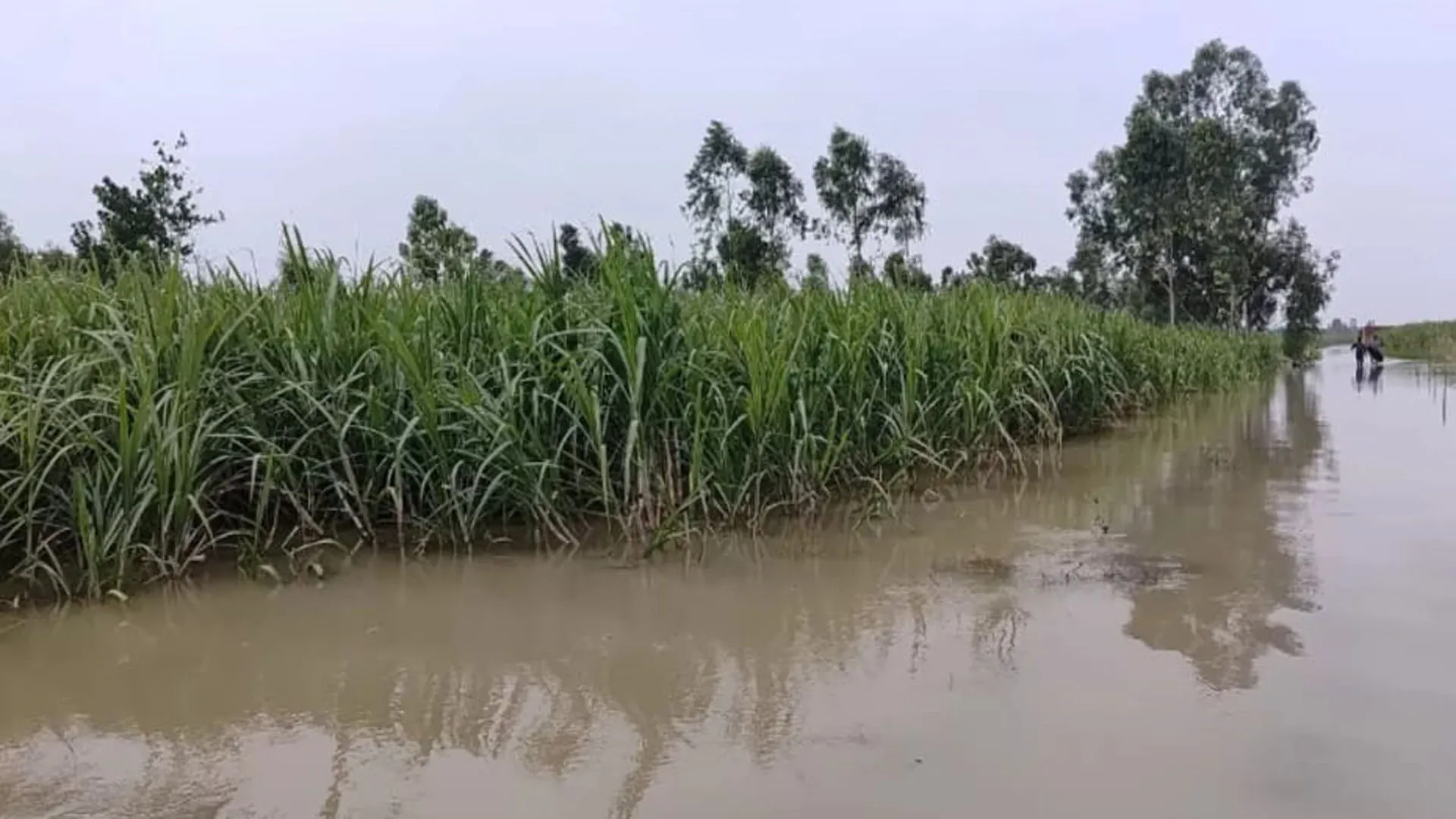Amroha : तिगरी गंगा का जलस्तर घटने से लोगों ने ली राहत की सांस
