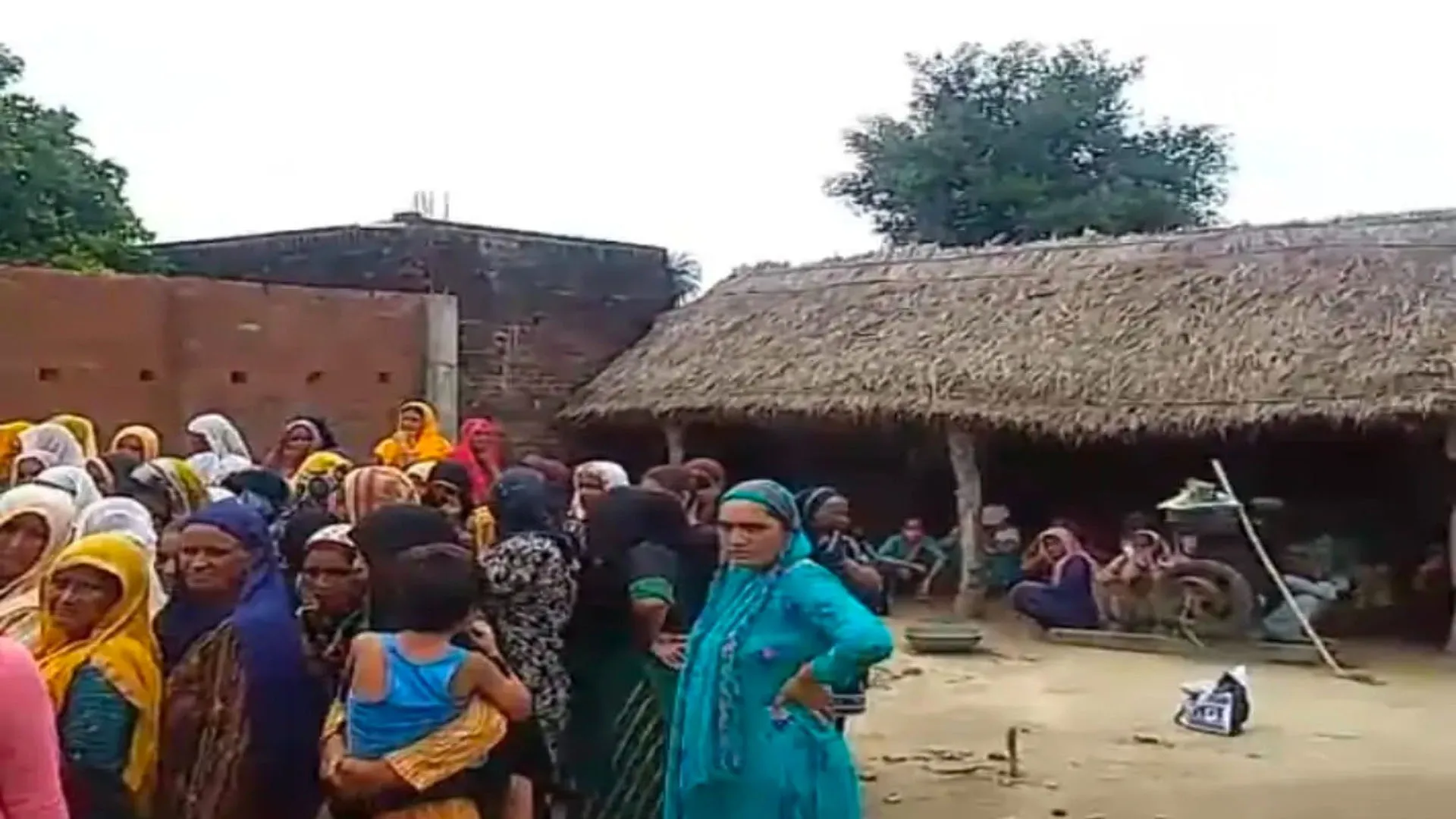 लखीमपुर खीरी: आवारा कुत्तों का मानसिक विक्षिप्त महिला पर हमला...नोच-नोचकर मार डाला