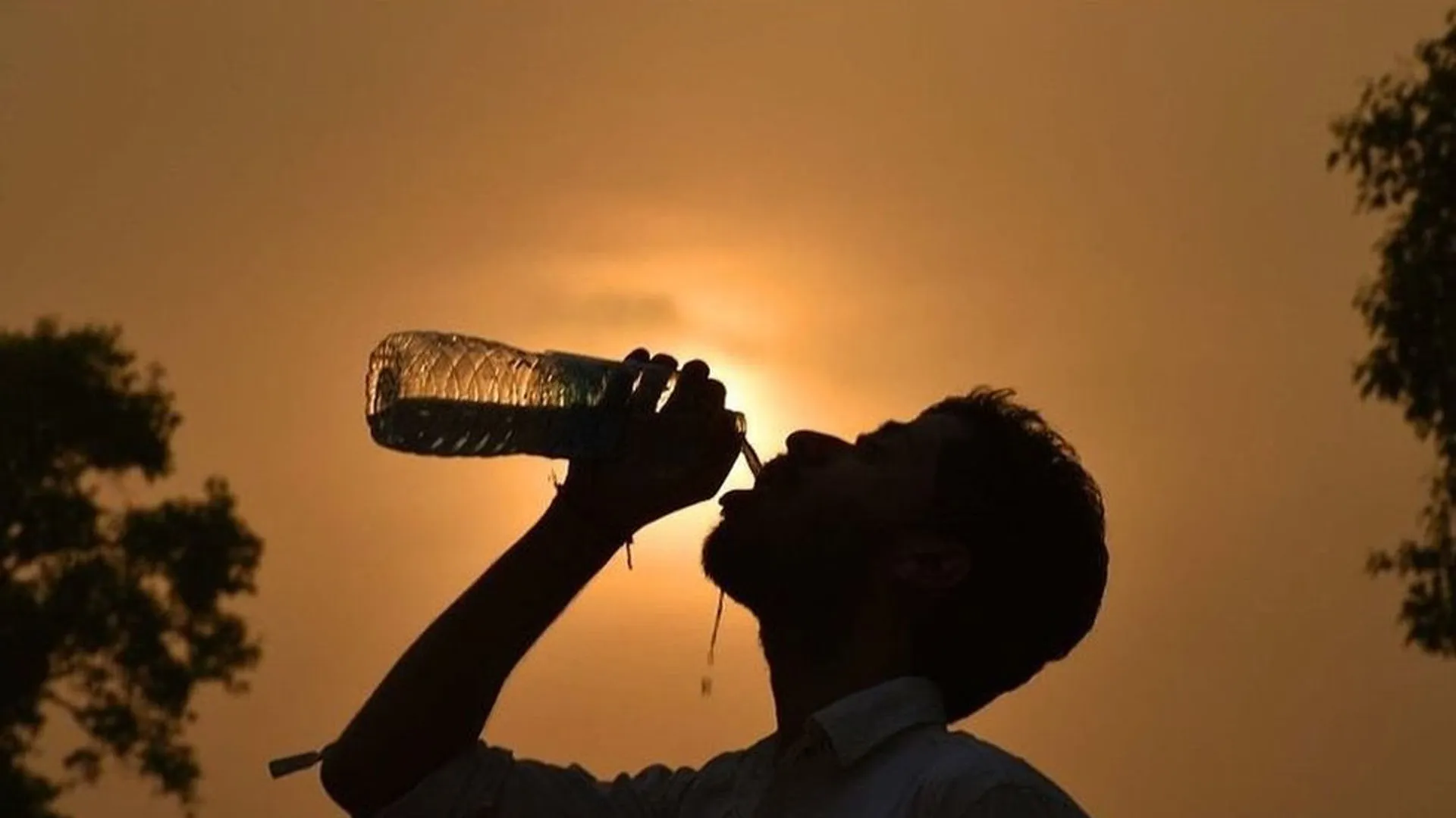 Moradabad : भादो में बढ़ी तपिश, गर्मी और उमस ने किया बेहाल