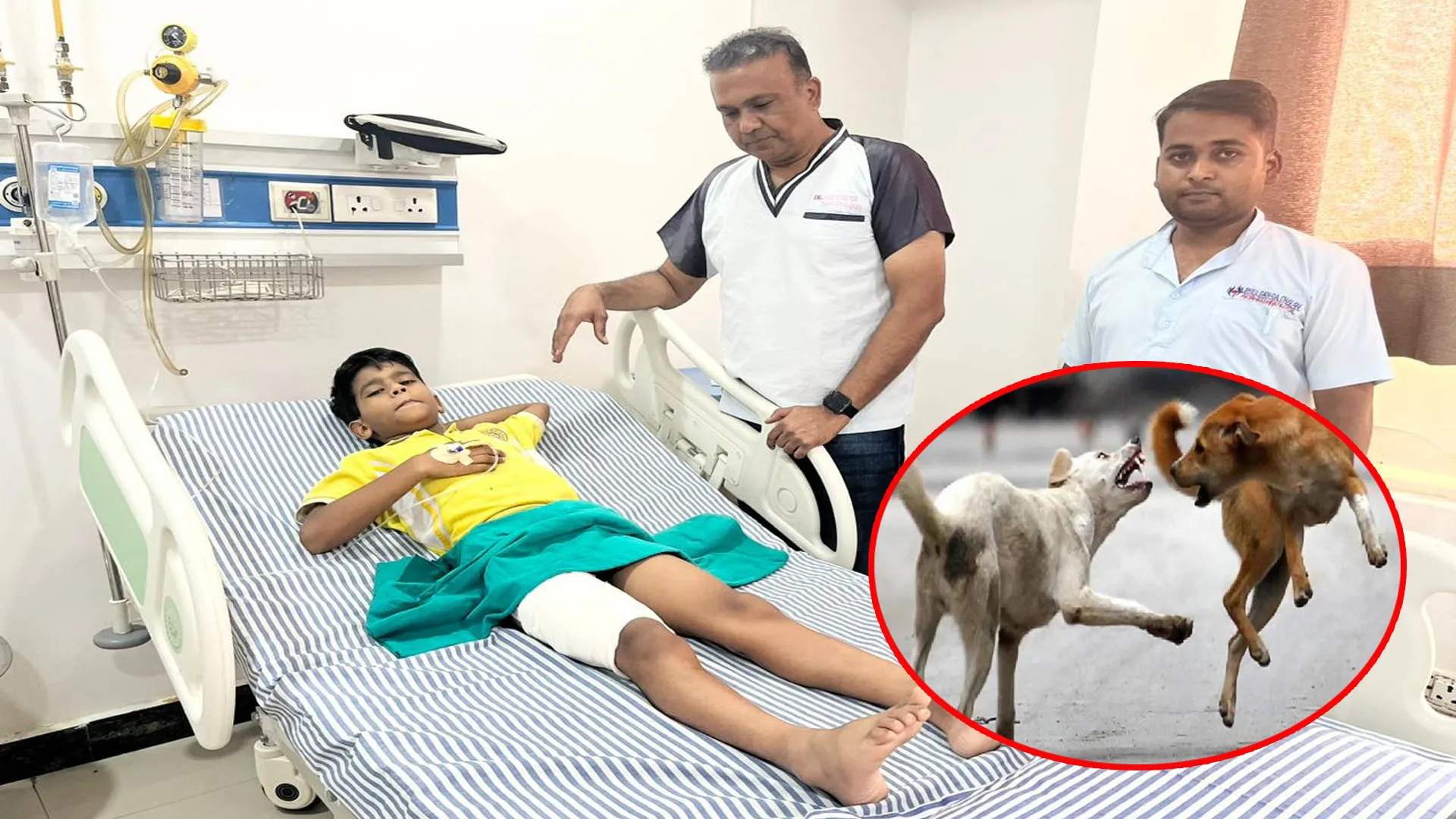 Bareilly : कुत्तों का आतंक...स्कूल से निकले चार बच्चों पर किया हमला, एक घायल