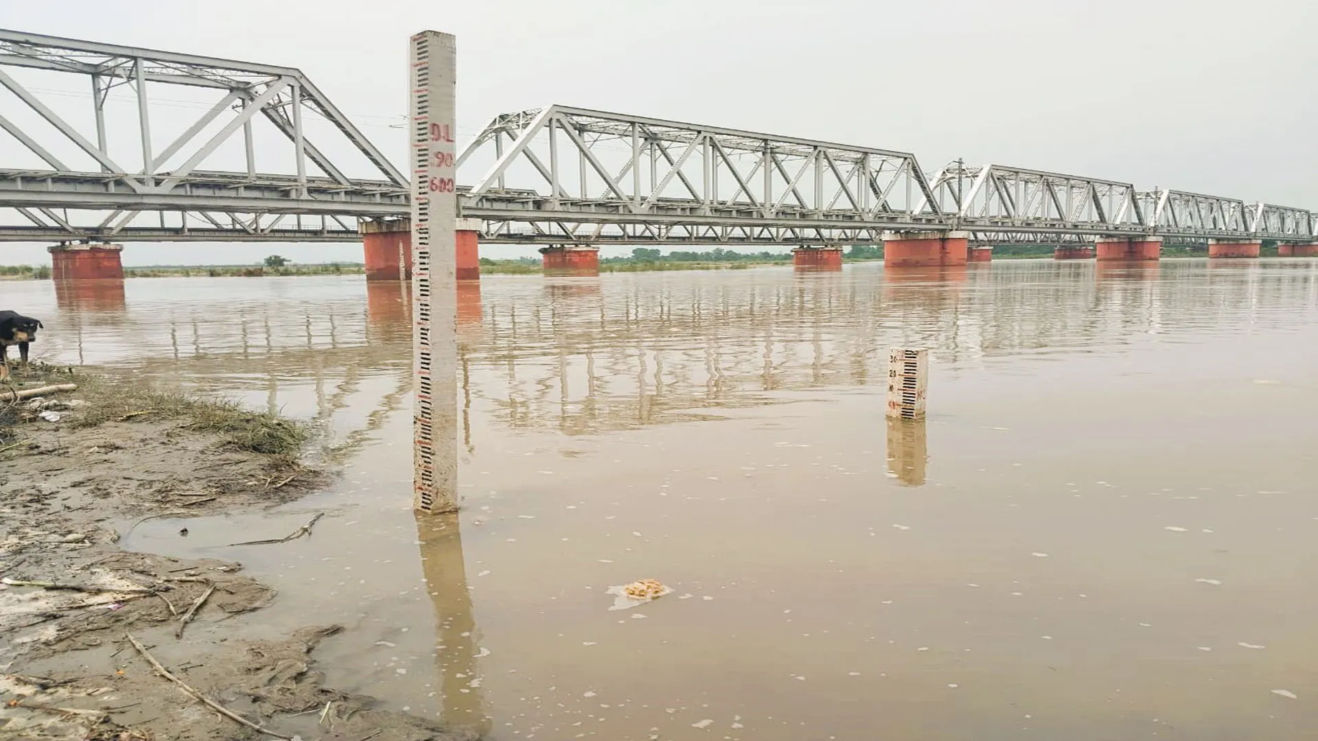 मुरादाबाद में शांत होने लगी रामगंगा...मगर कालागढ़ में बढ़ रहा रौद्र रूप