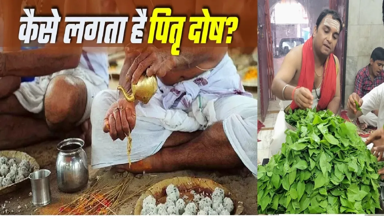 पितृ दोष निवारण